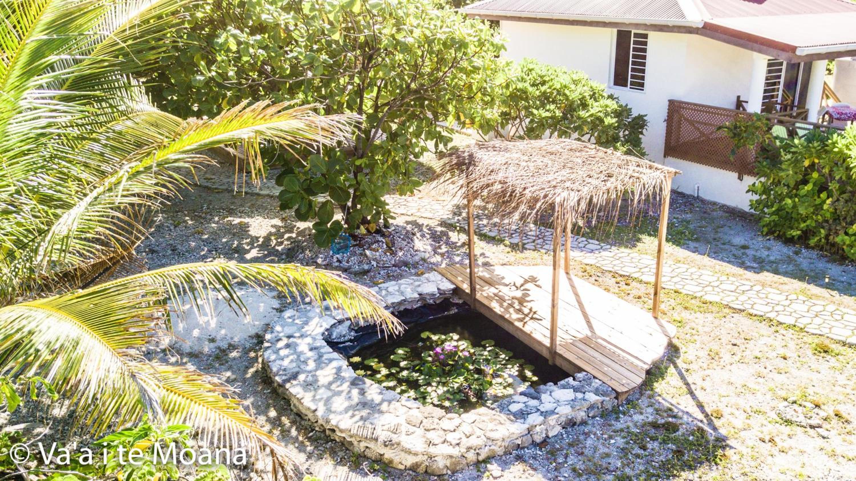 Va'a i te Moana view 5