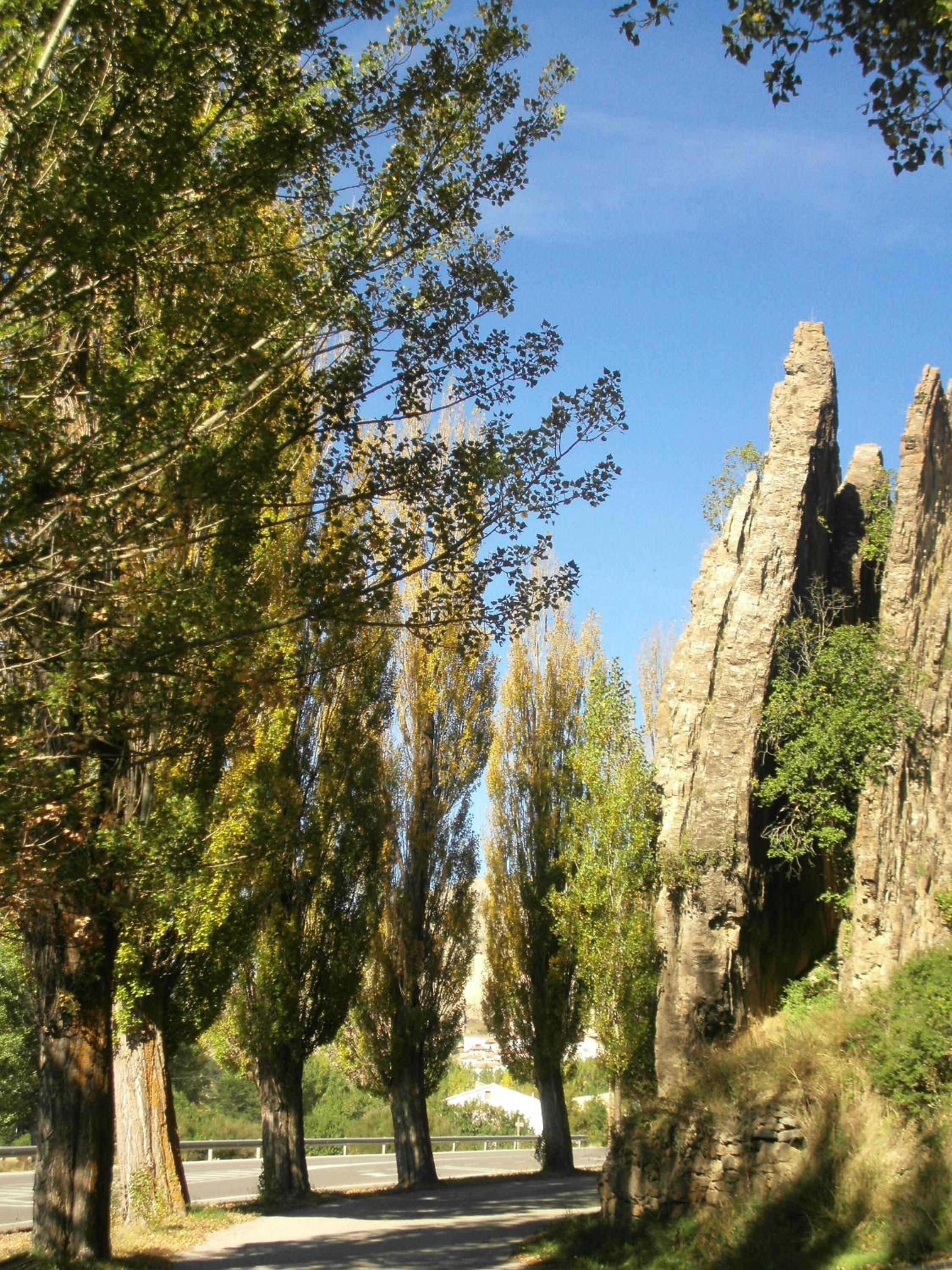 Alcalá de la Selva Apartamento view 5