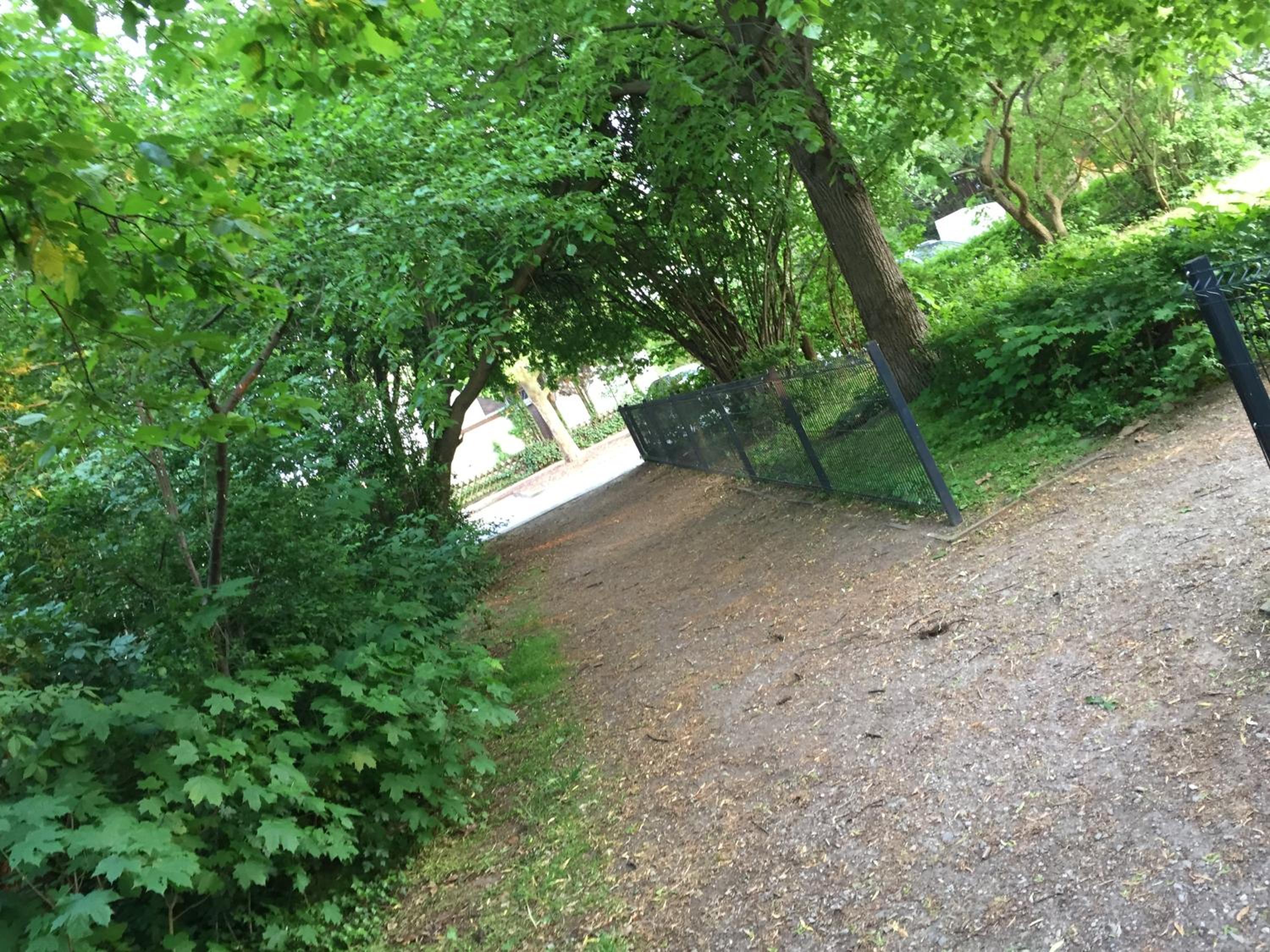 Photo 10