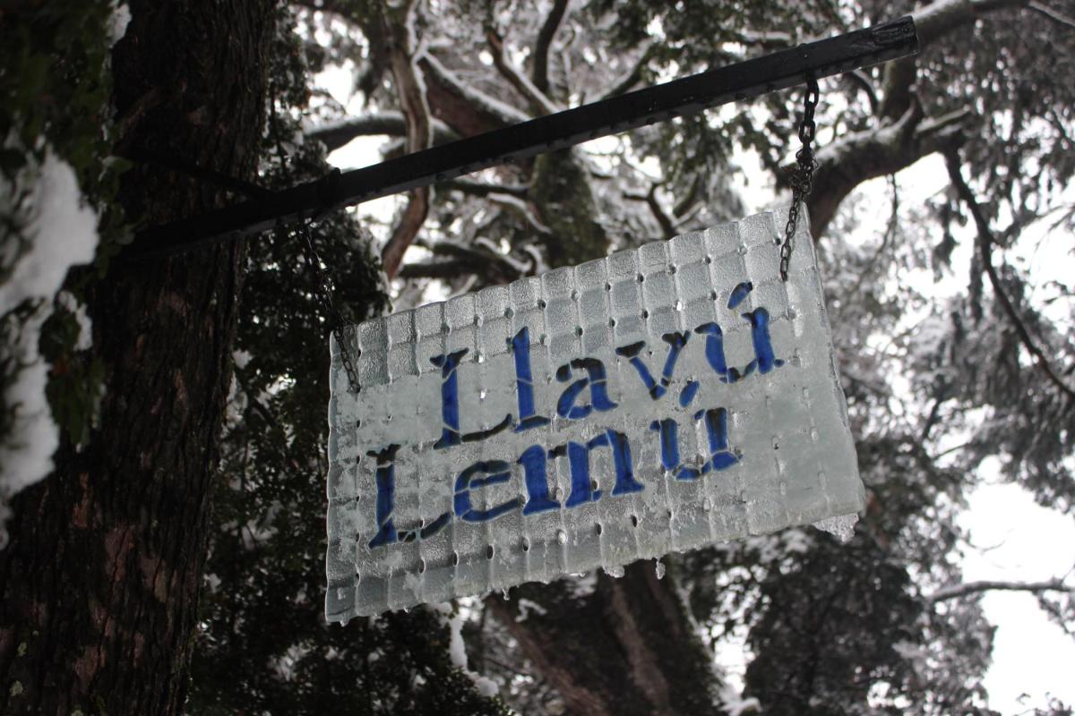 Cabaña Llavu Lemu