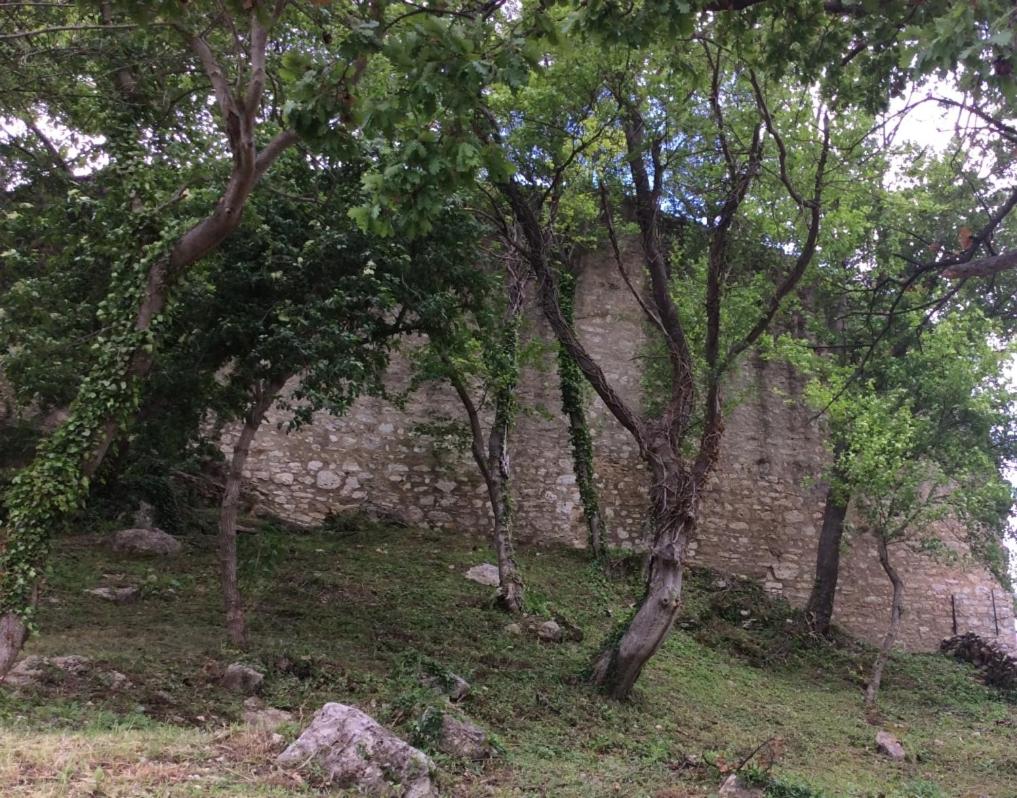 Photo 18