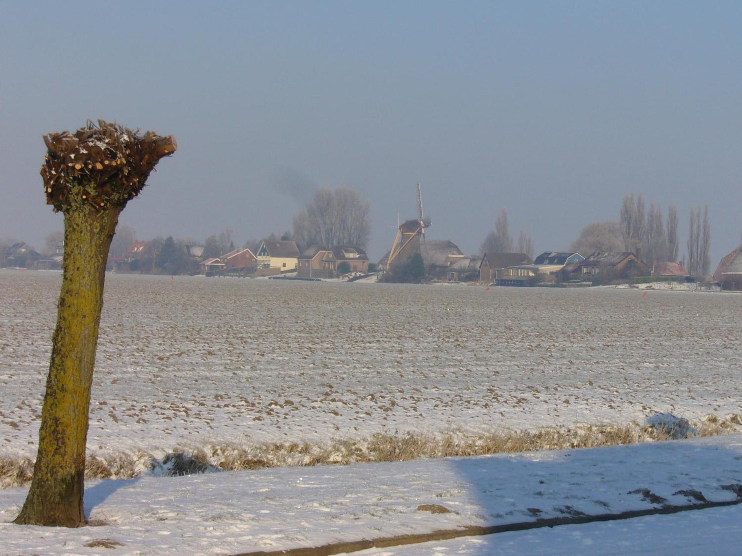 B&B Korendijk view 2