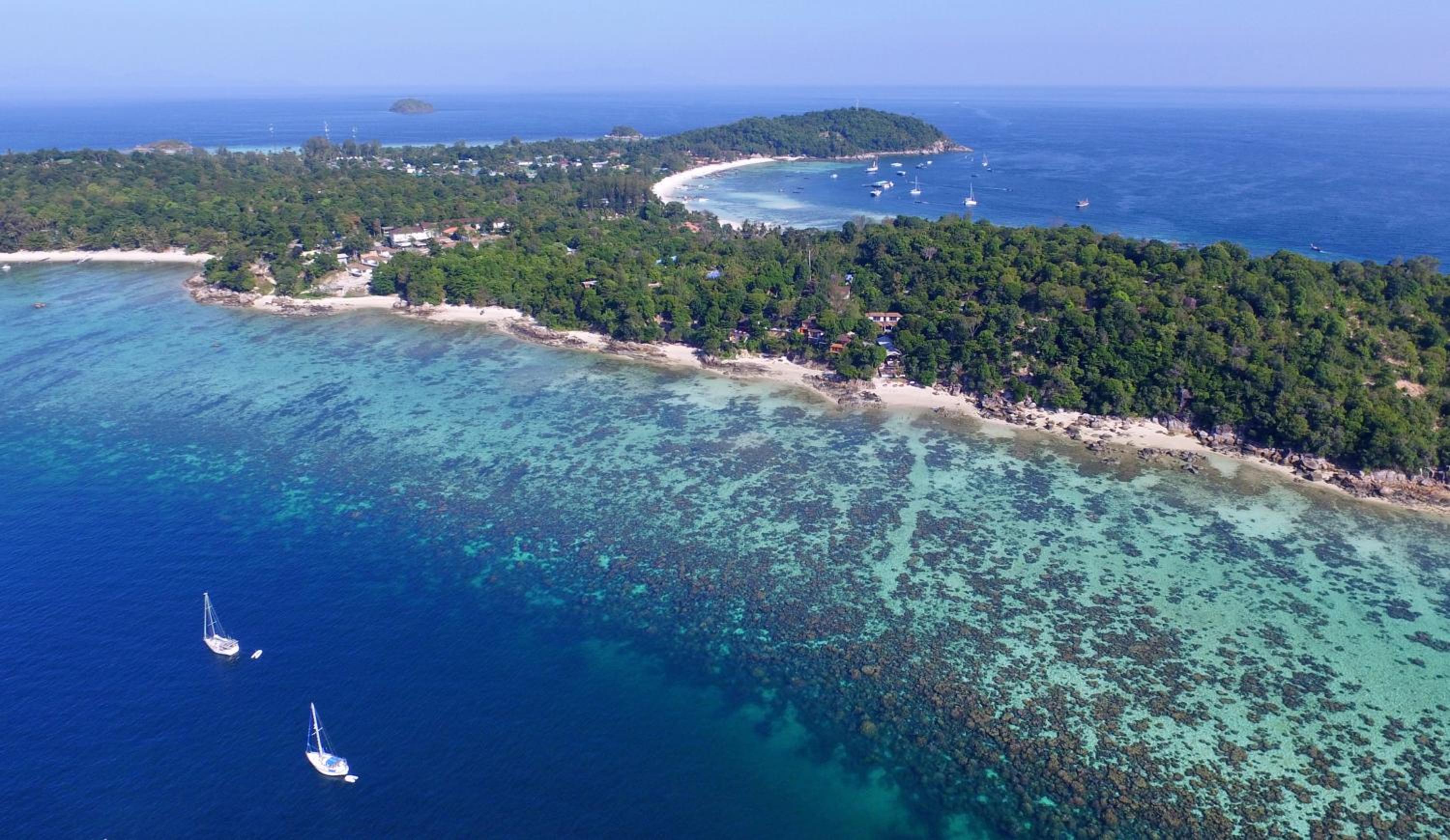 The Cliff Lipe