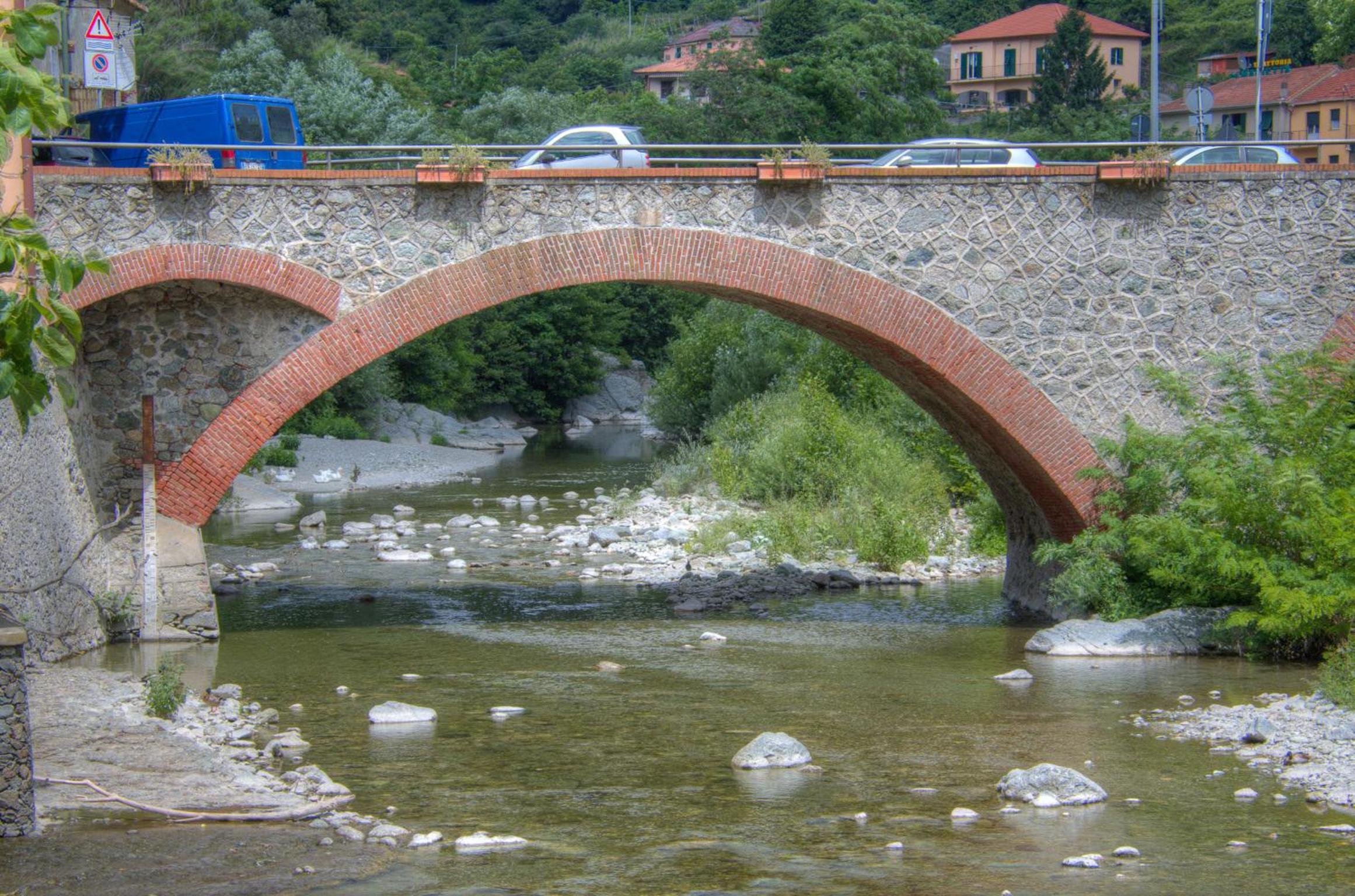 Photo 51