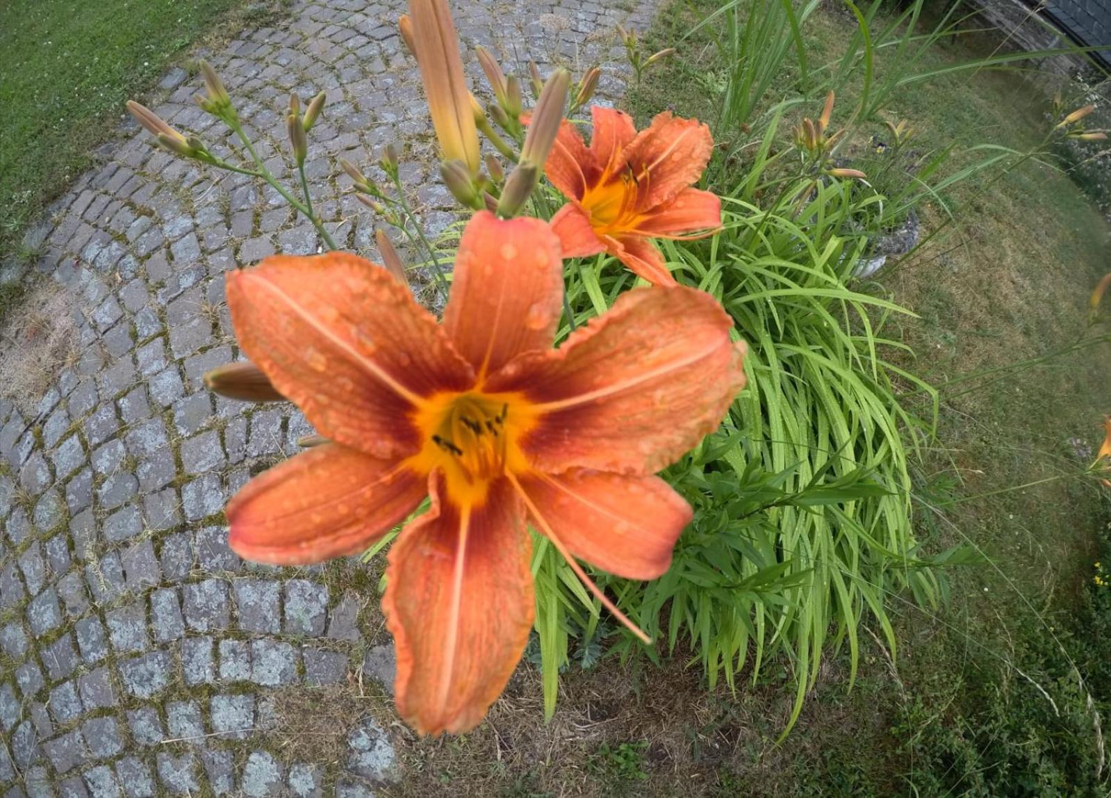 Zum Alten Pfarrhaus