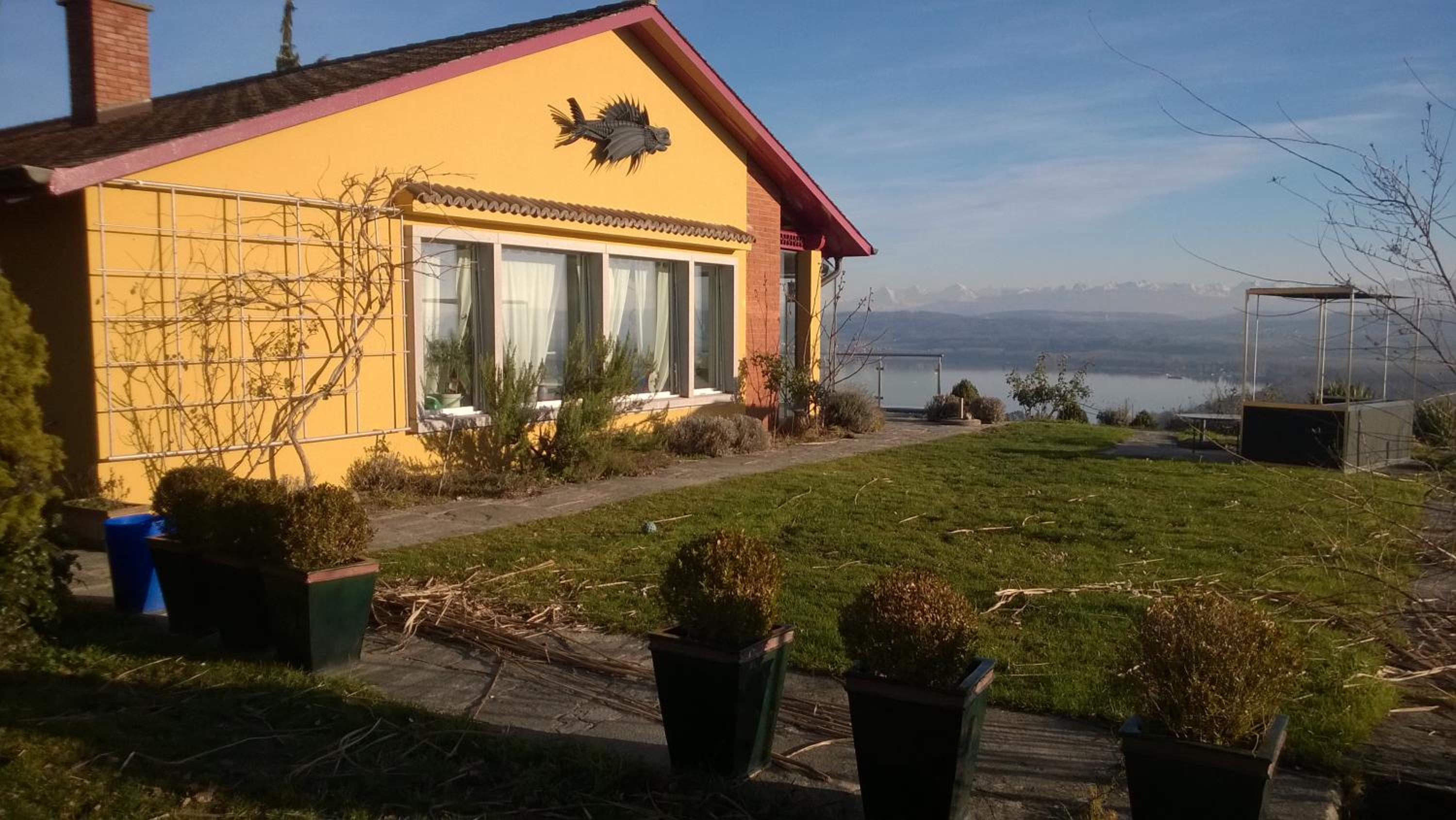 Swiss Borzoi House