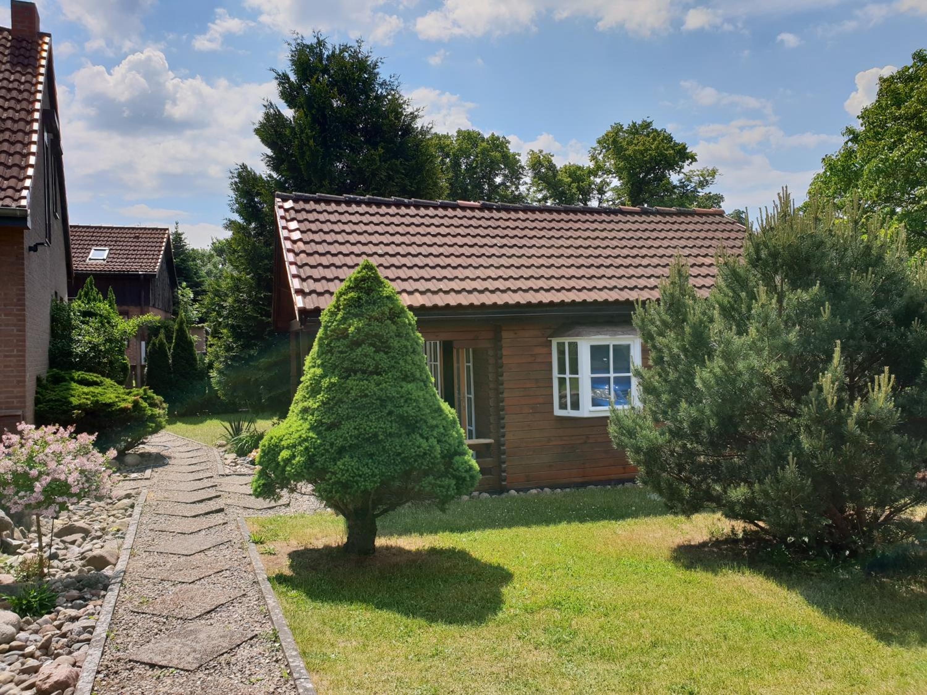 Tannenzapfen