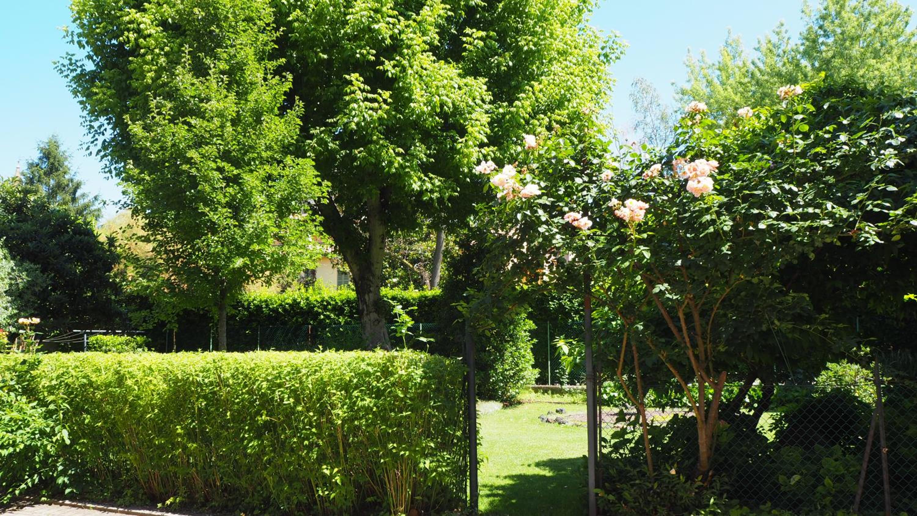 R&B Giardino 34