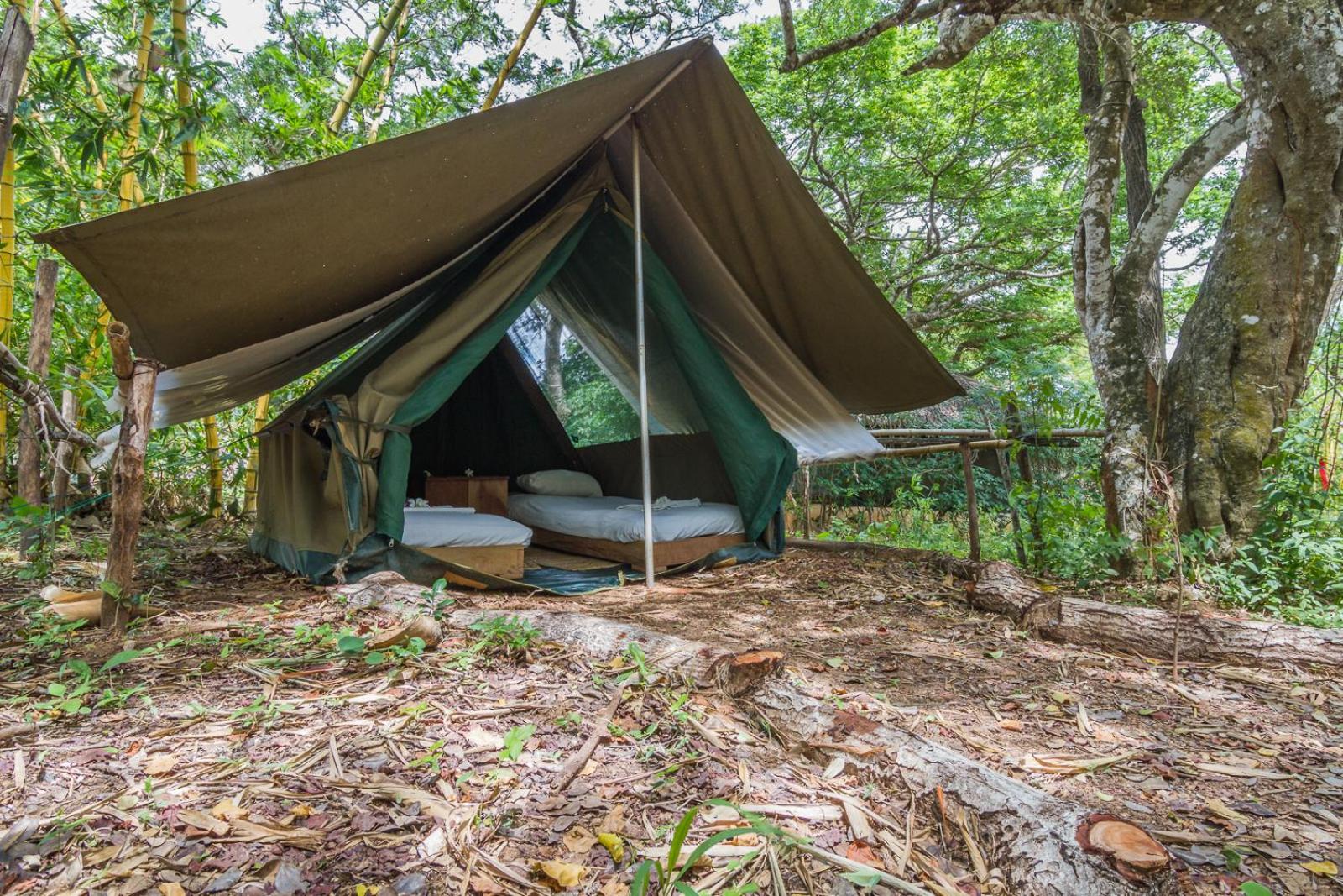 Distant Relatives Ecolodge & Backpackers