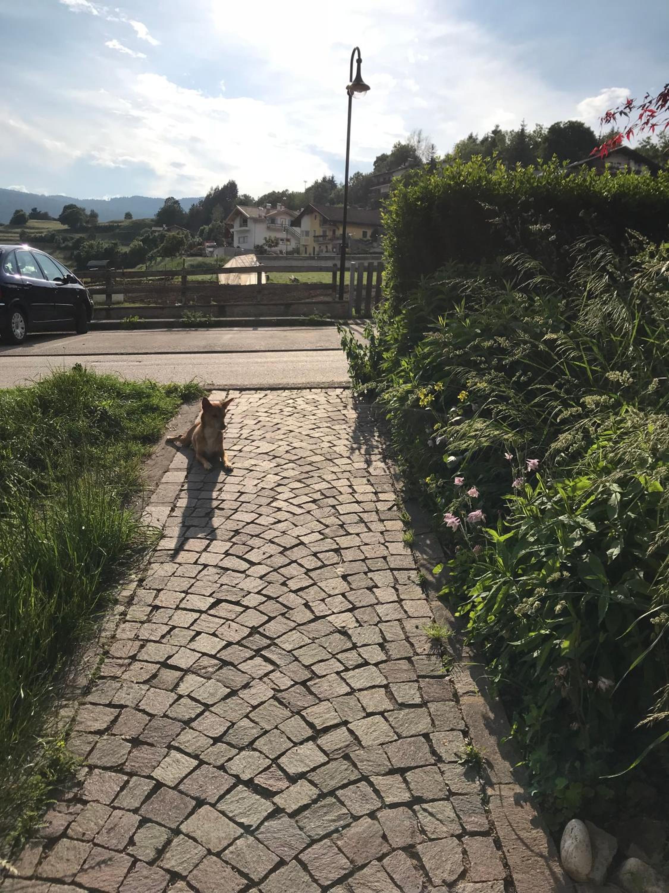 Photo 16