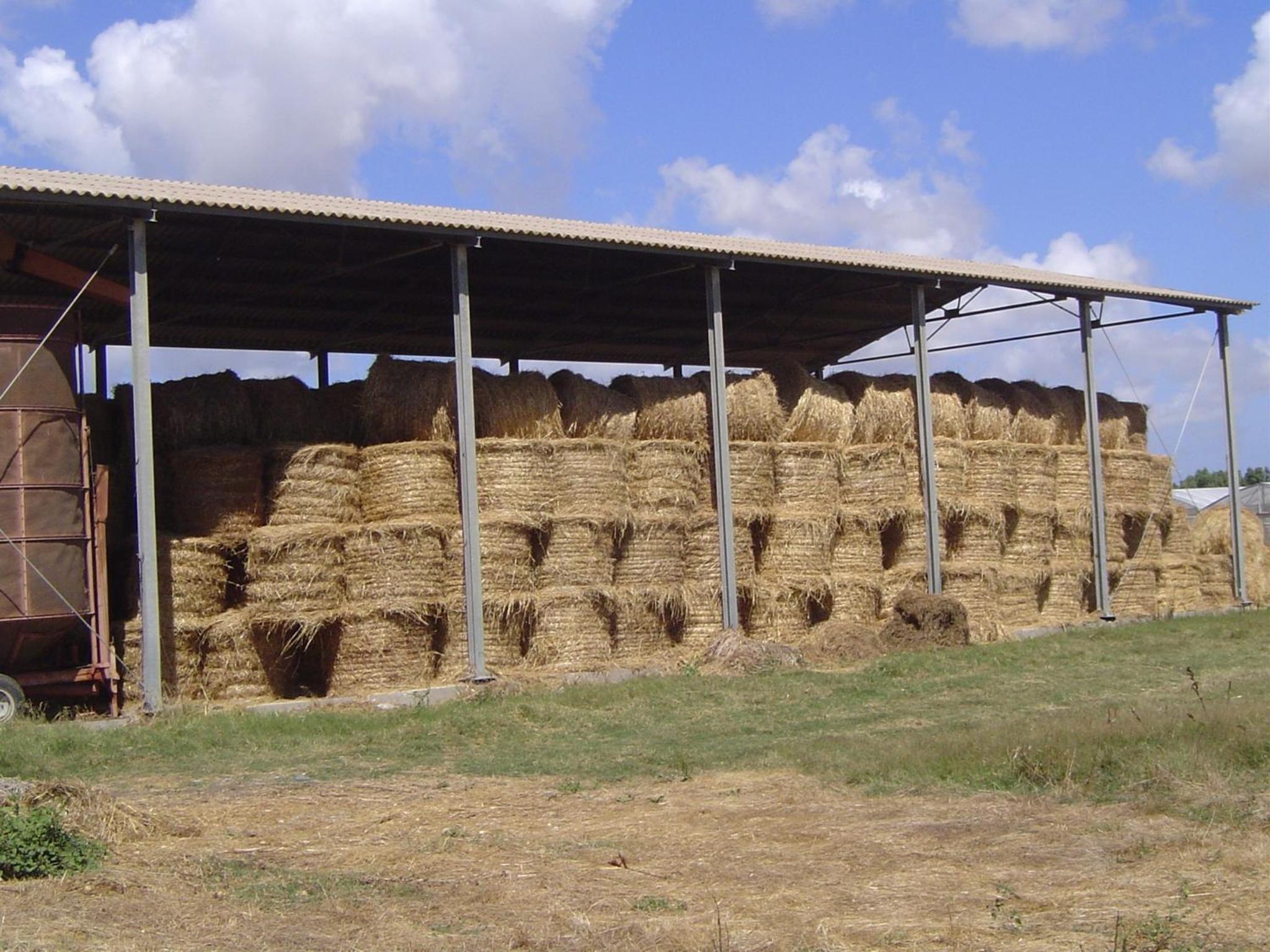Agriturismo Agrifoglio