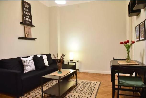 Beautiful, Newly Renovated Flat in Zamalek, Cairo