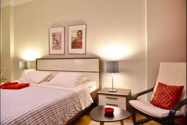 Beautiful, Newly Renovated Flat in Zamalek, Cairo