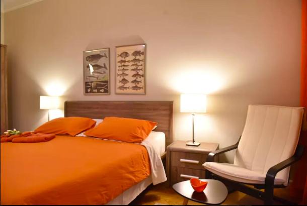 Beautiful, Newly Renovated Flat in Zamalek, Cairo