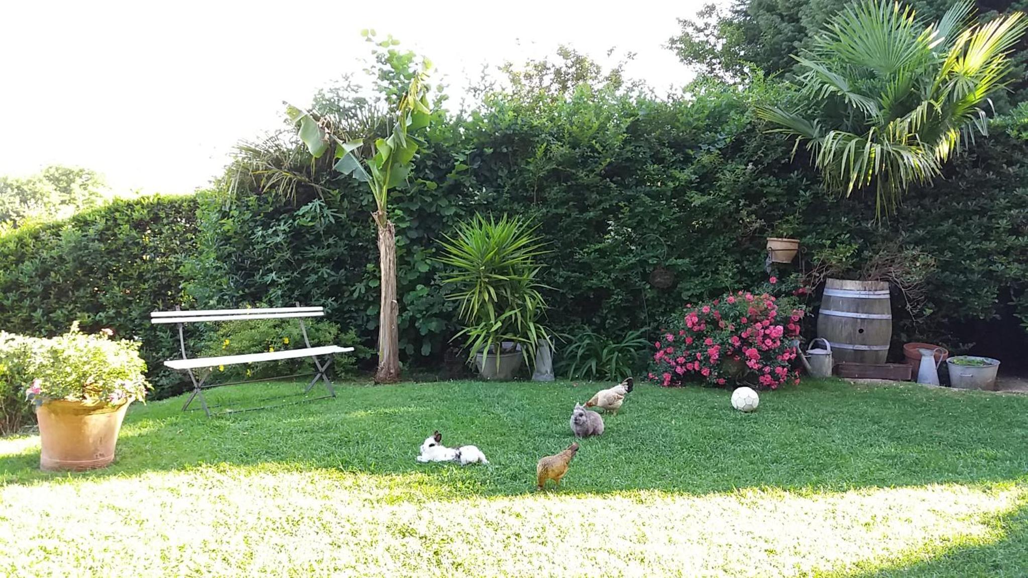 Photo 18