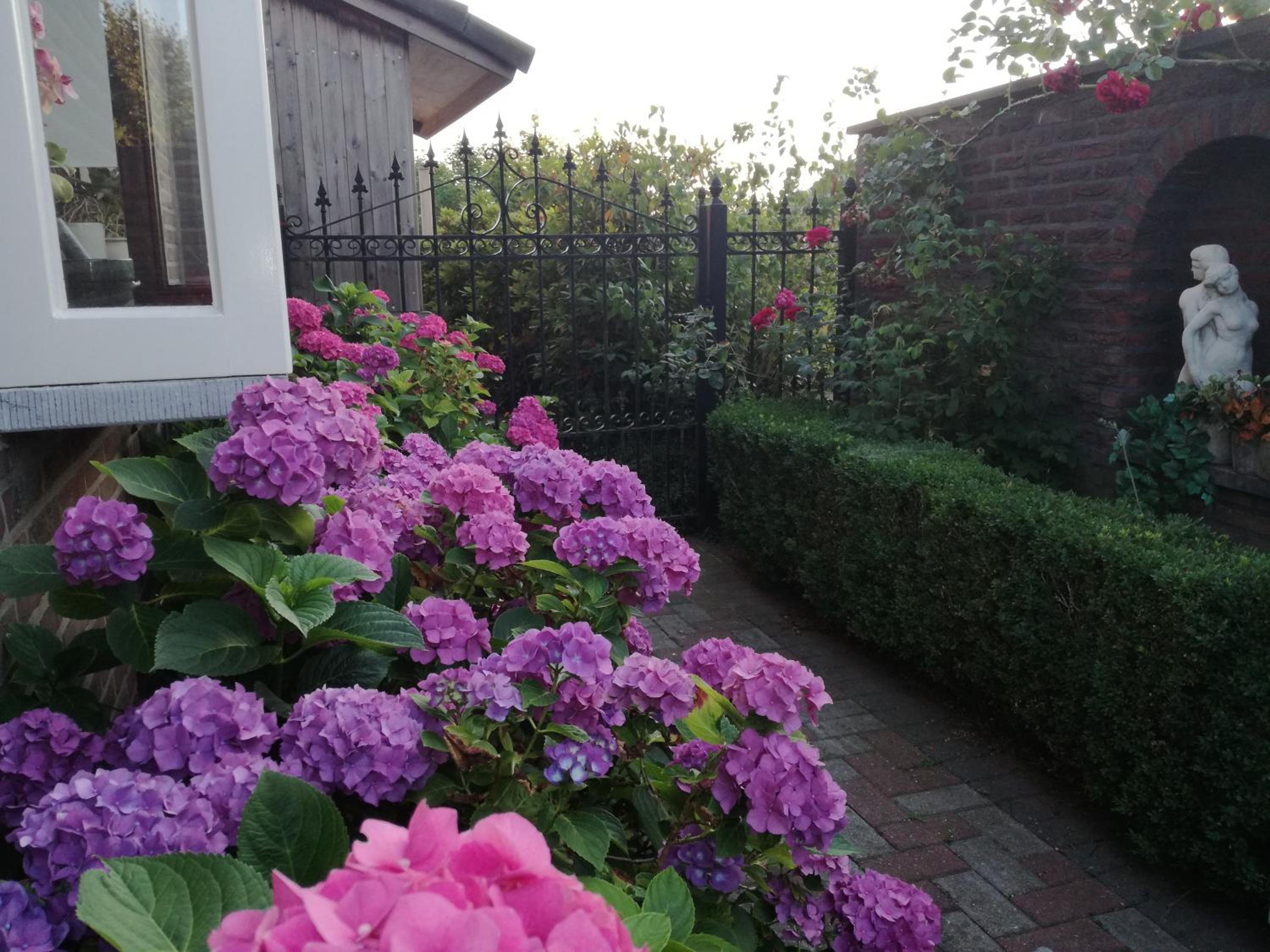 La Rose