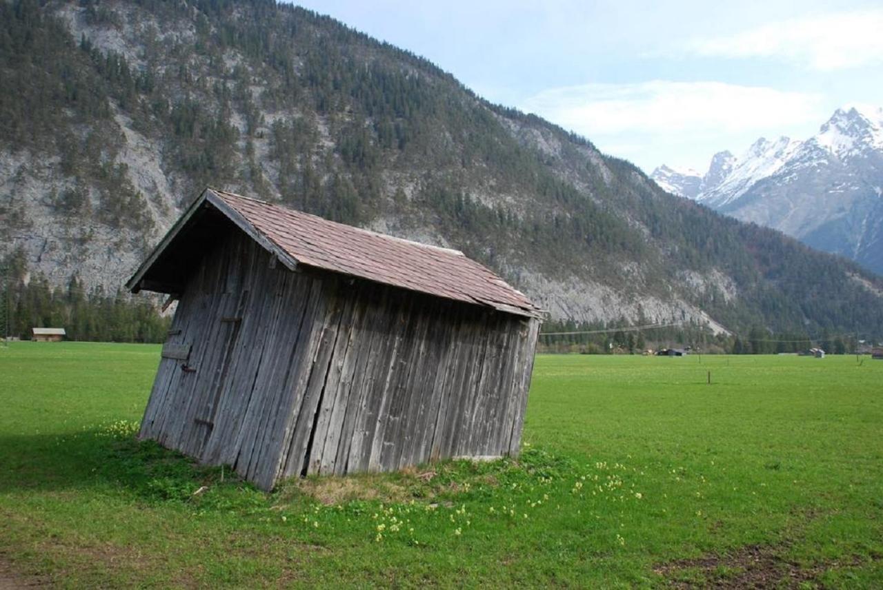 Photo 41