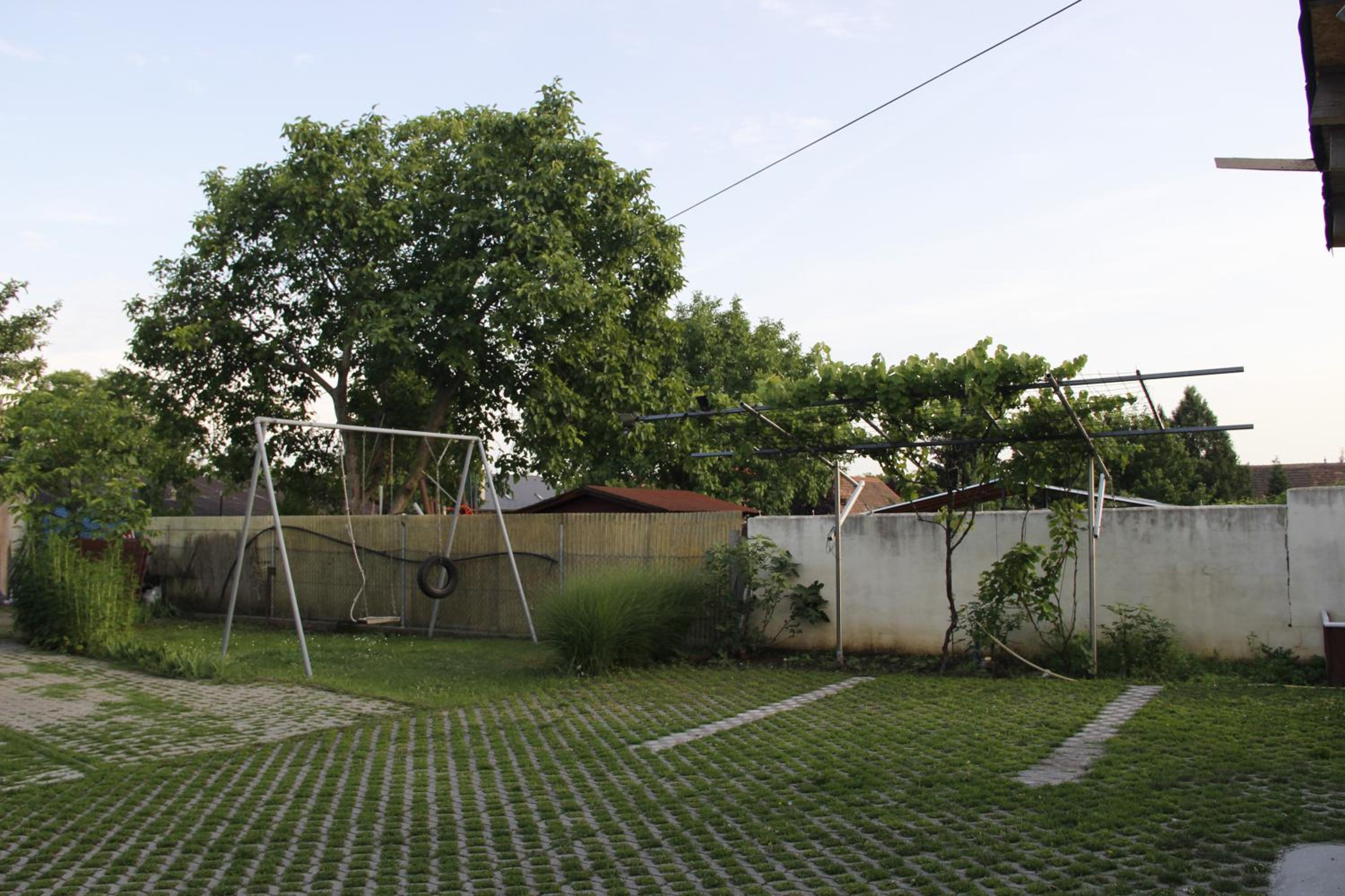 Photo 50