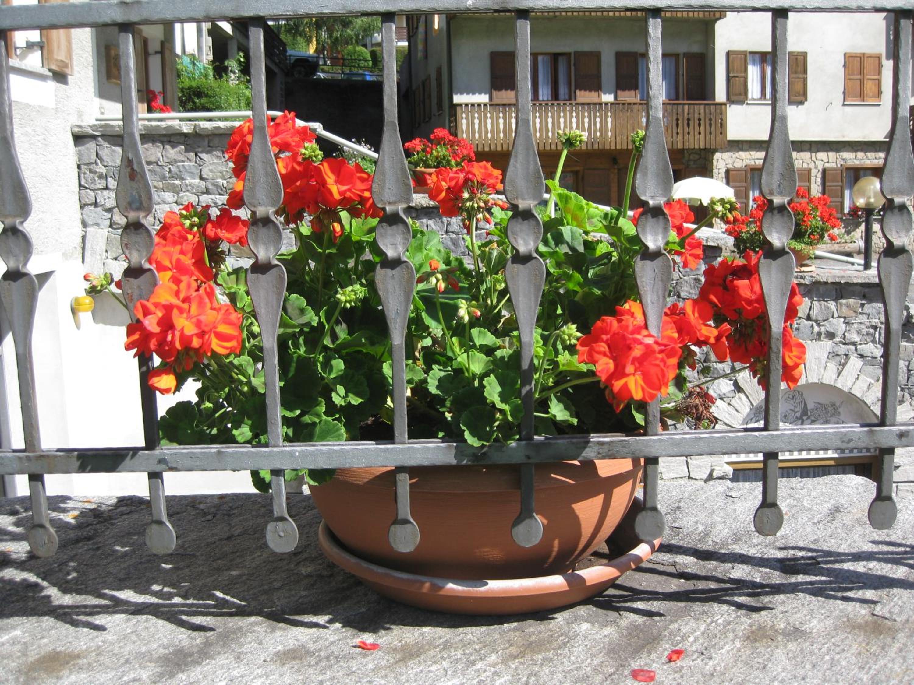 Photo 42