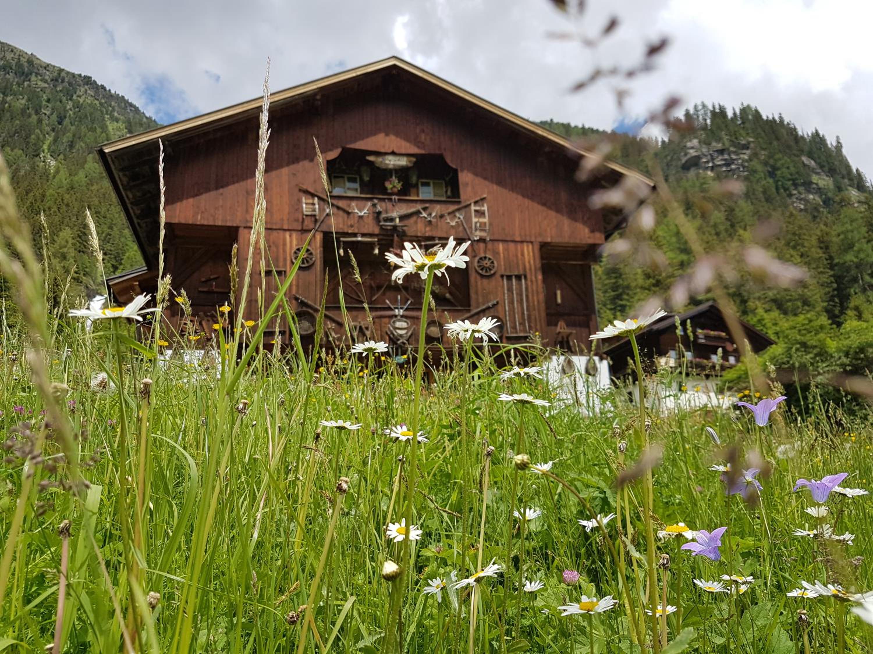 Pension Fürhapter mit Bio- Bauernhof