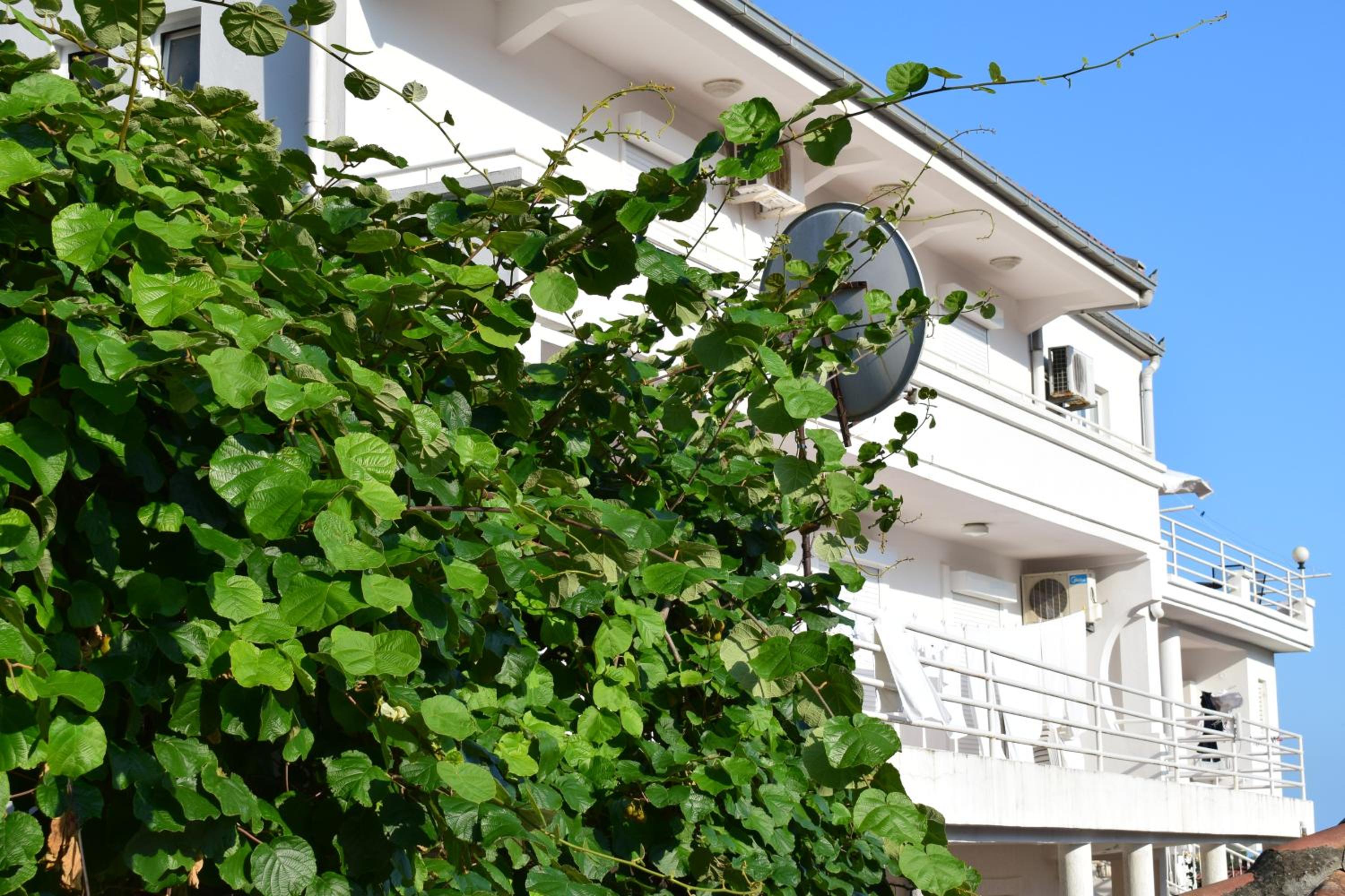 Villa Guci