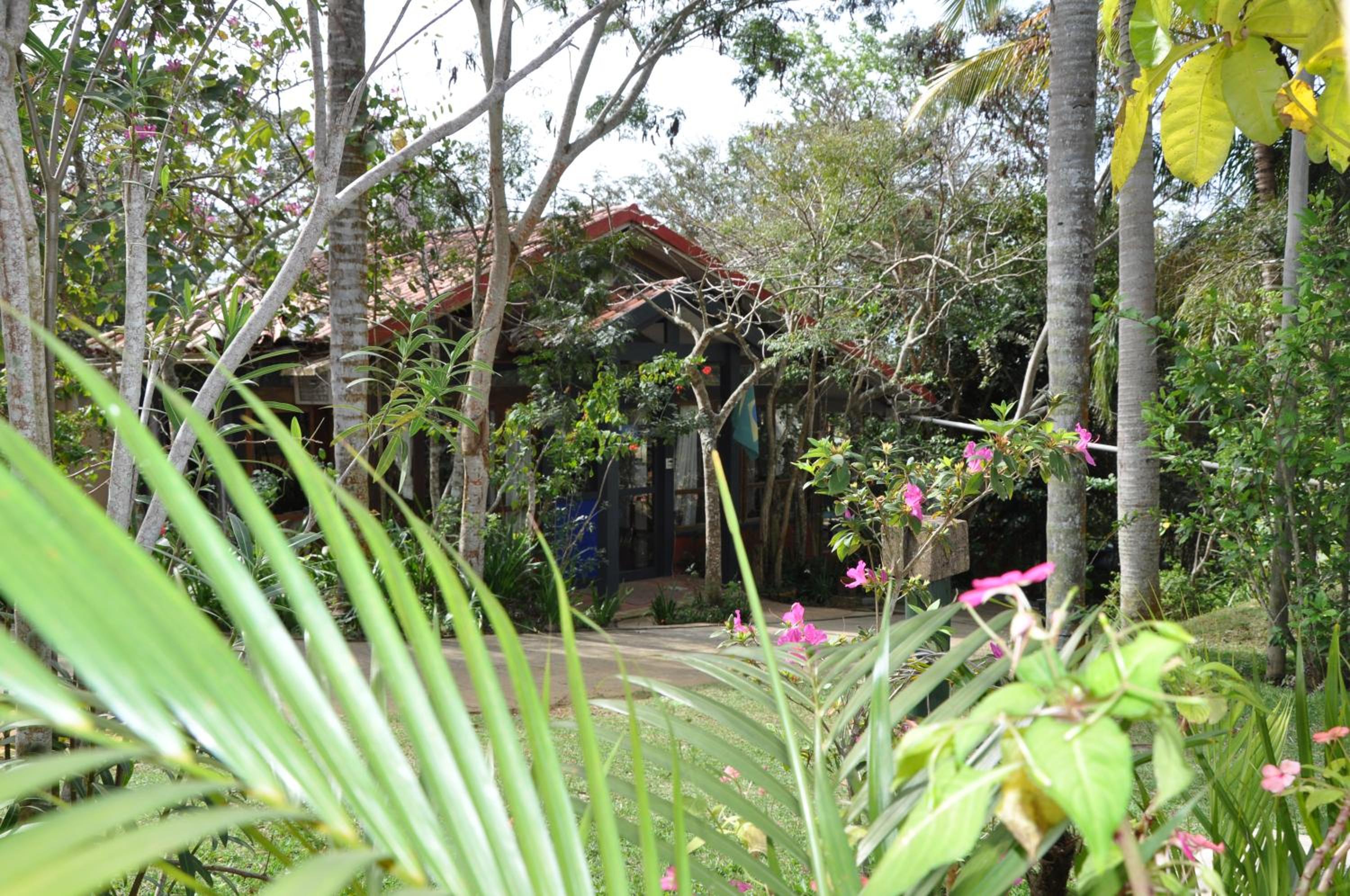 Photo 12