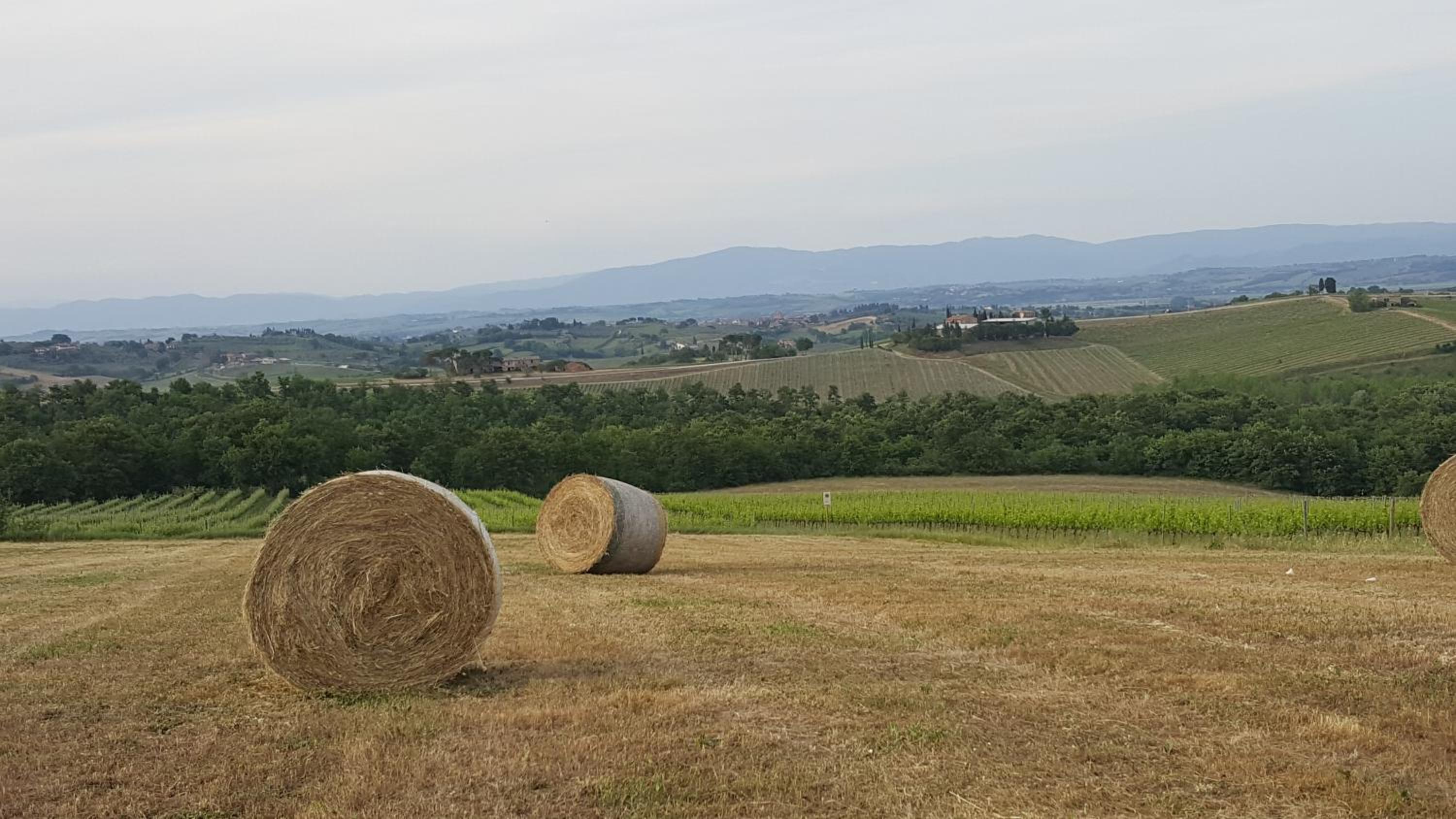 Agriturismo Podere Casa al Vento