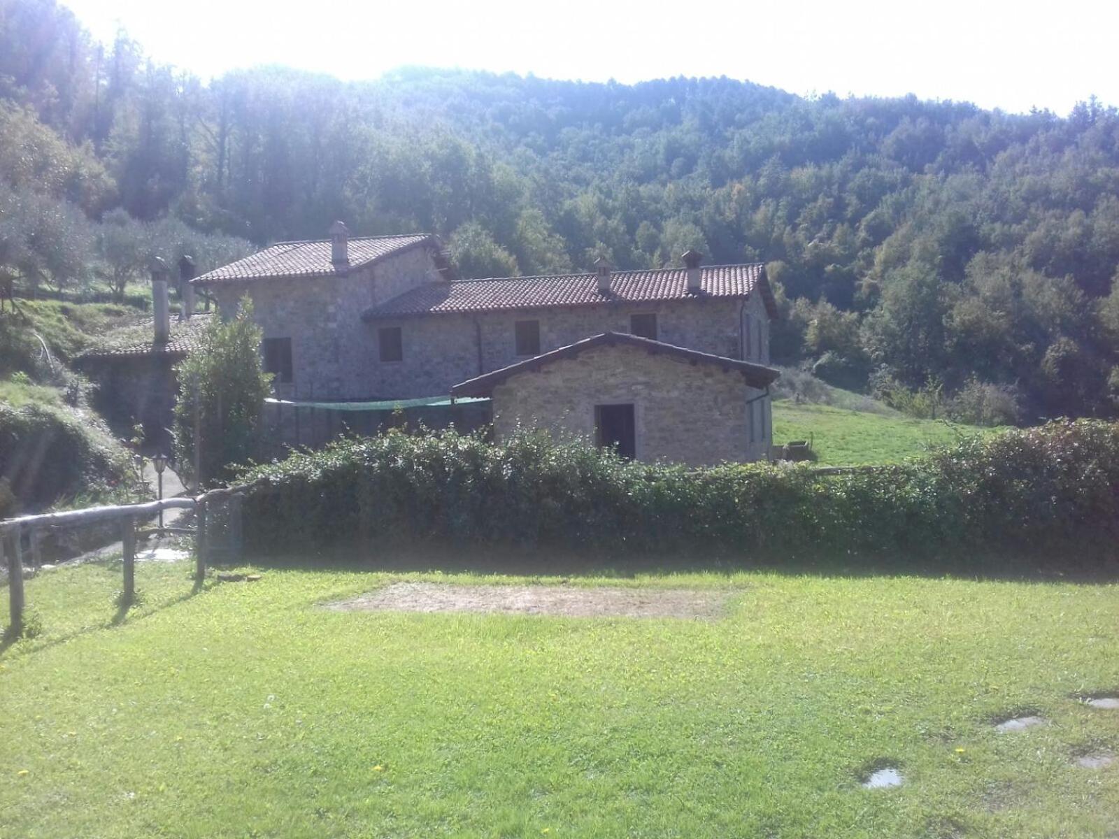 Photo 15