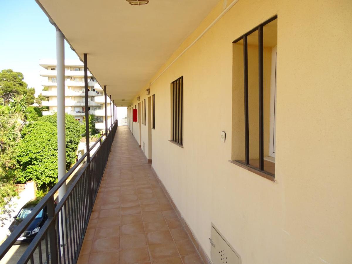 Rex Apartment view 3