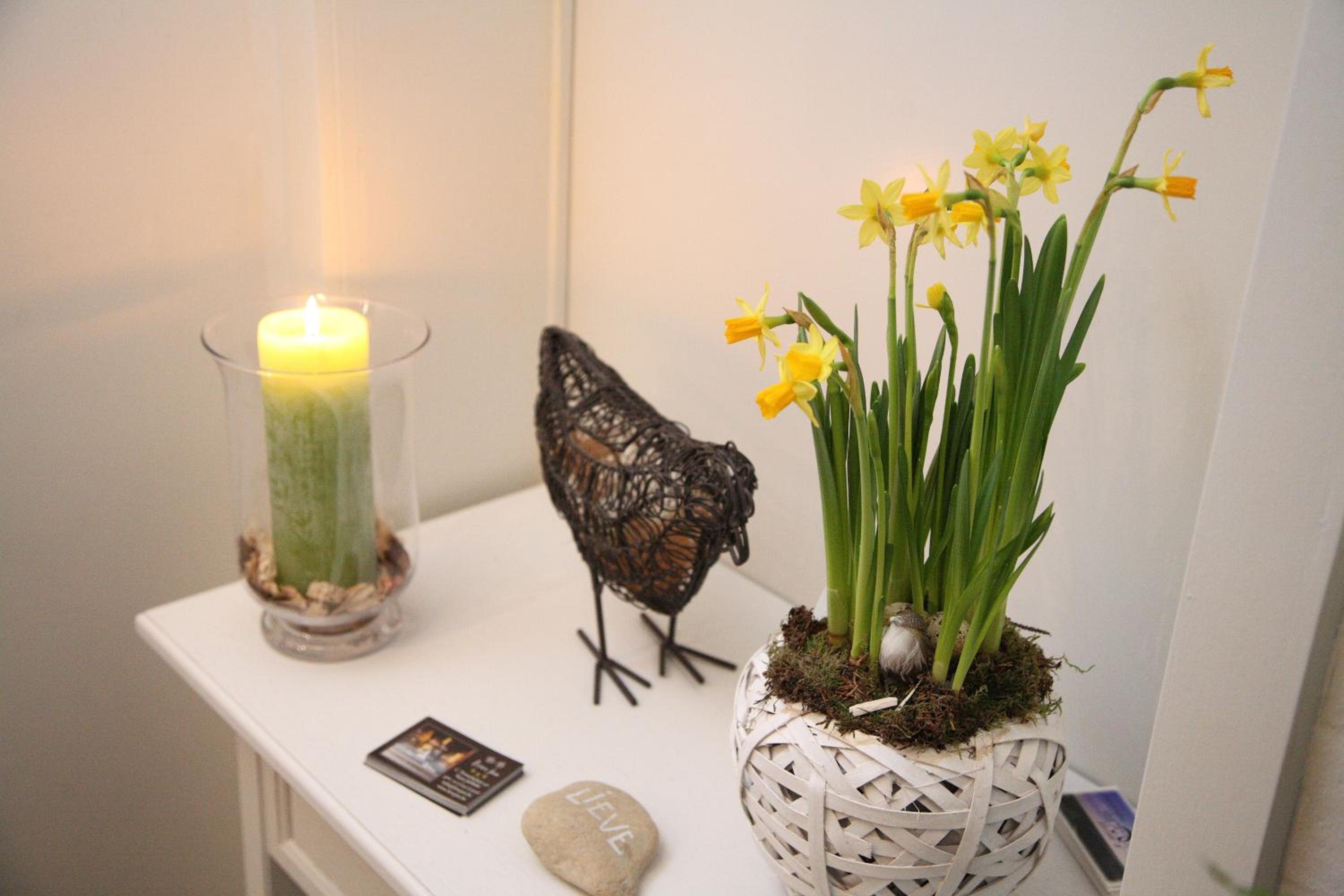 B&B Lievejan