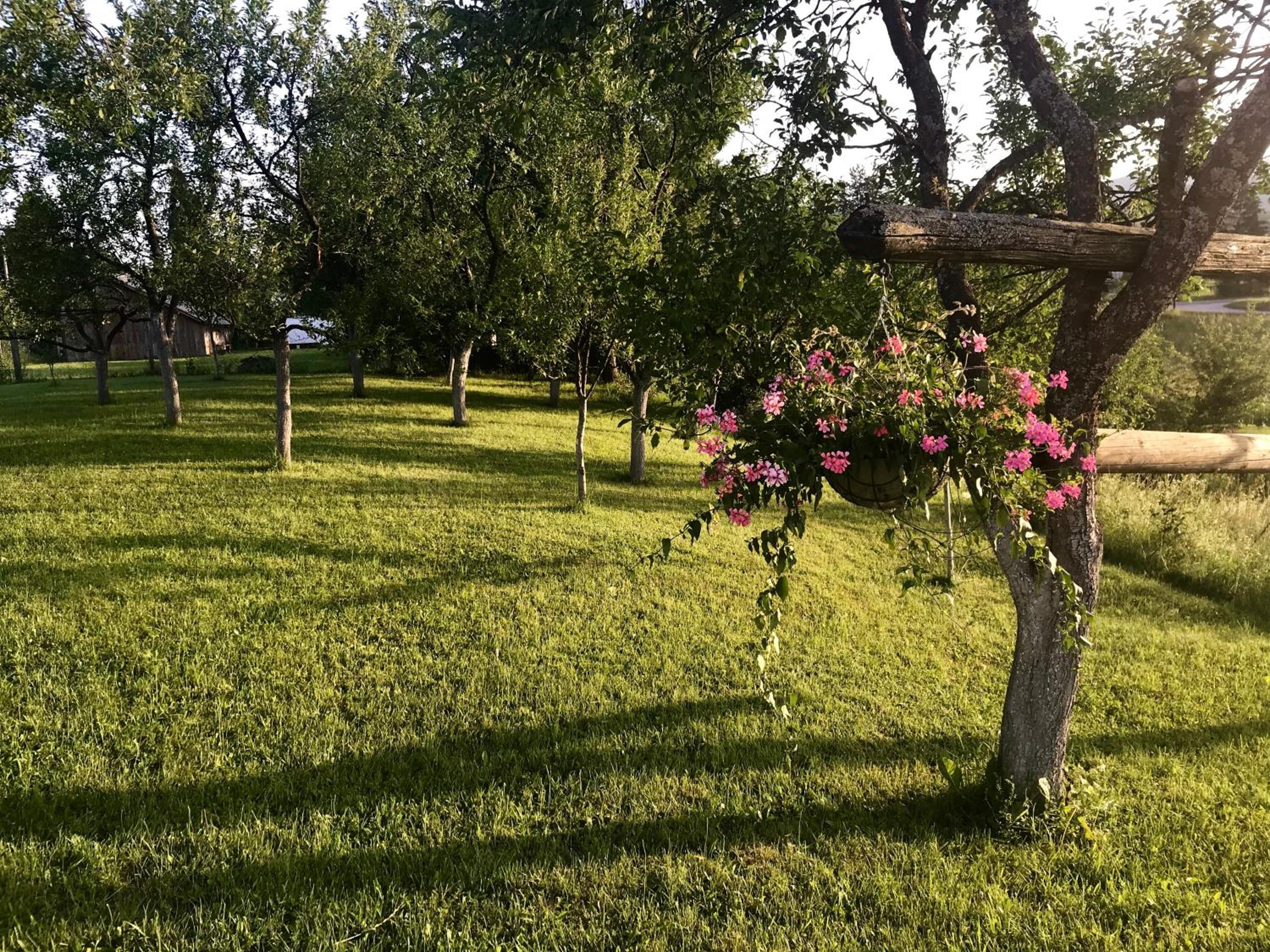 Photo 22