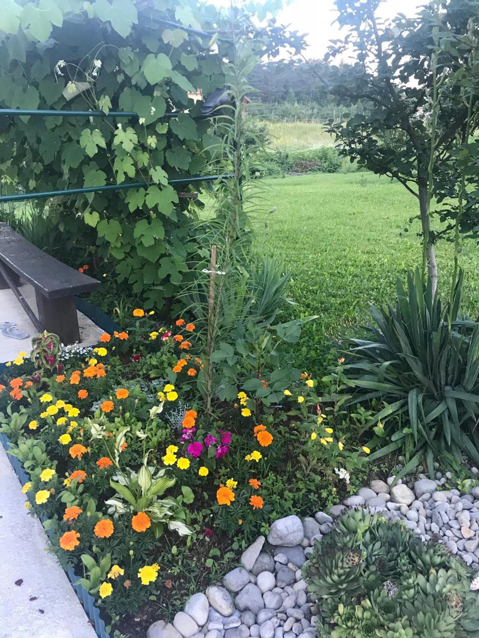 Photo 19