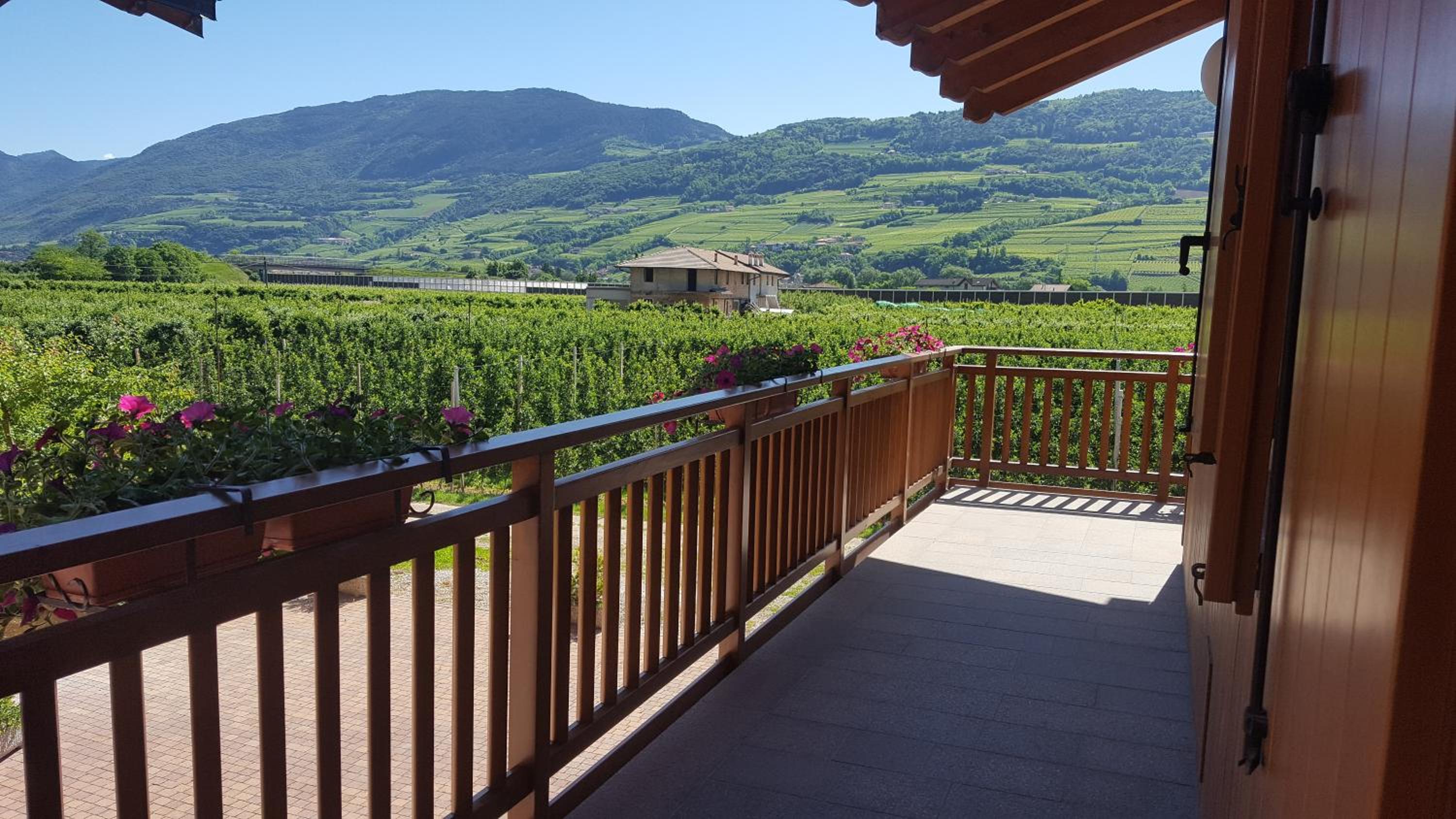 Agritur Clementi