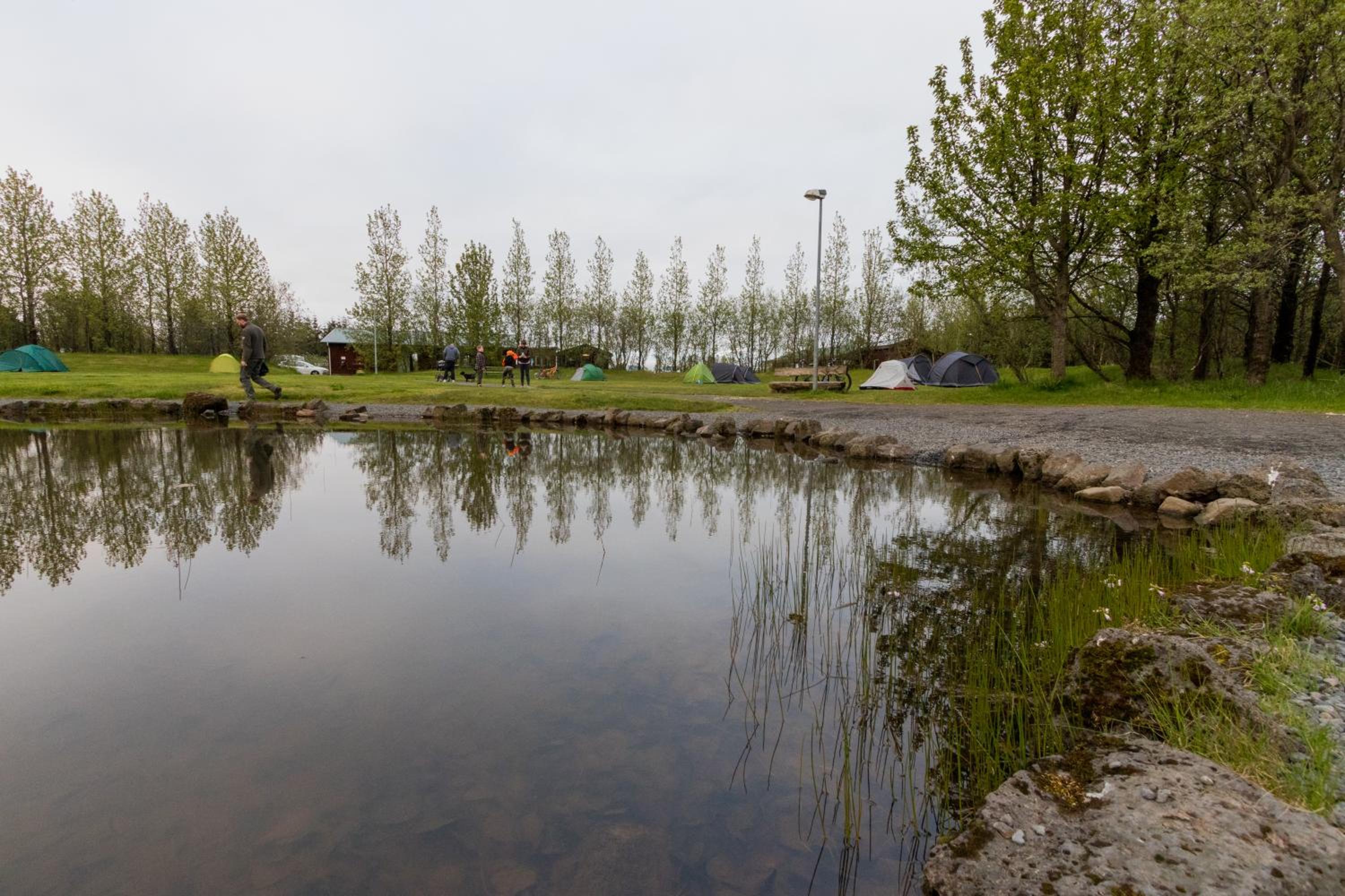 Gesthus Selfoss