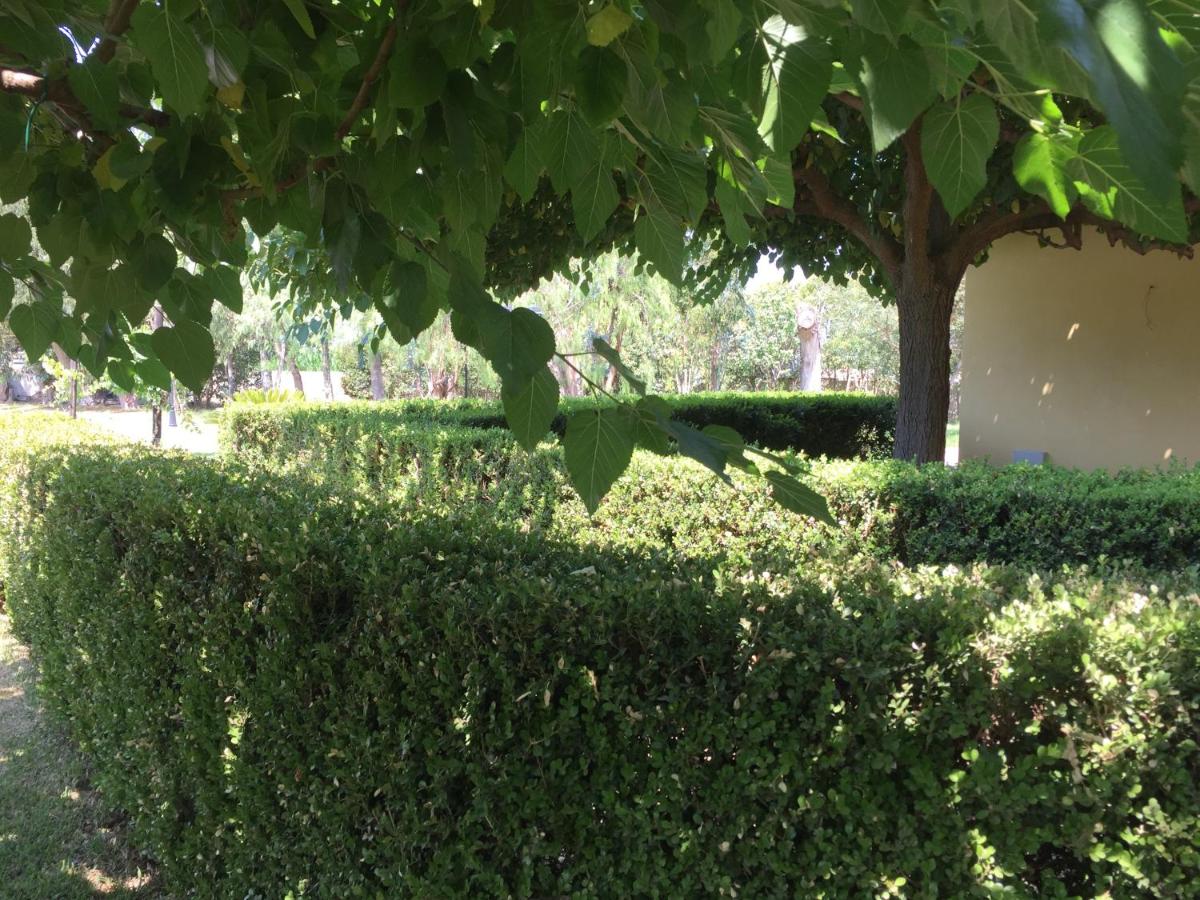 Photo 48