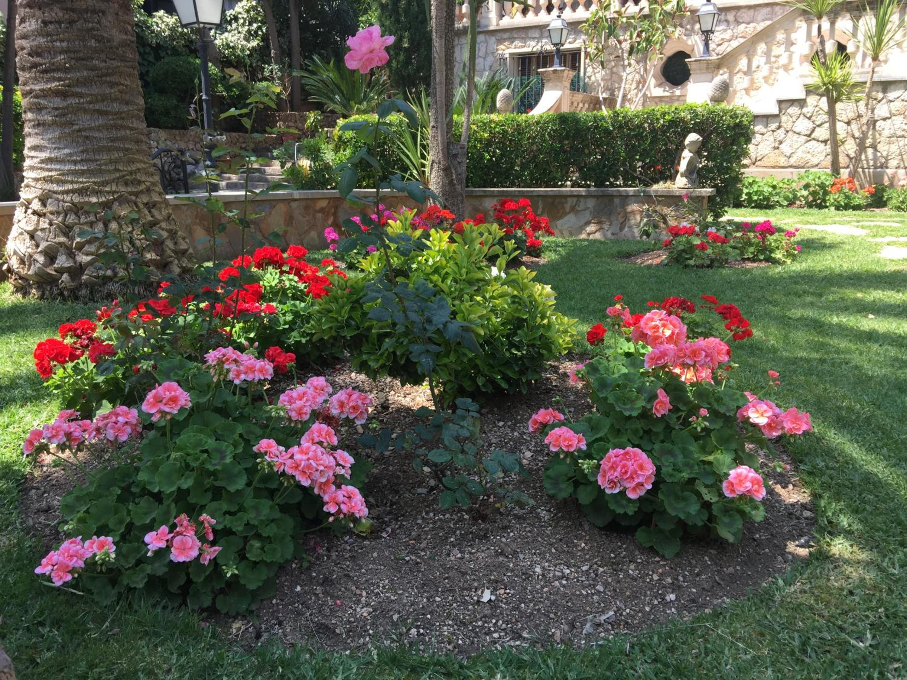 Photo 26