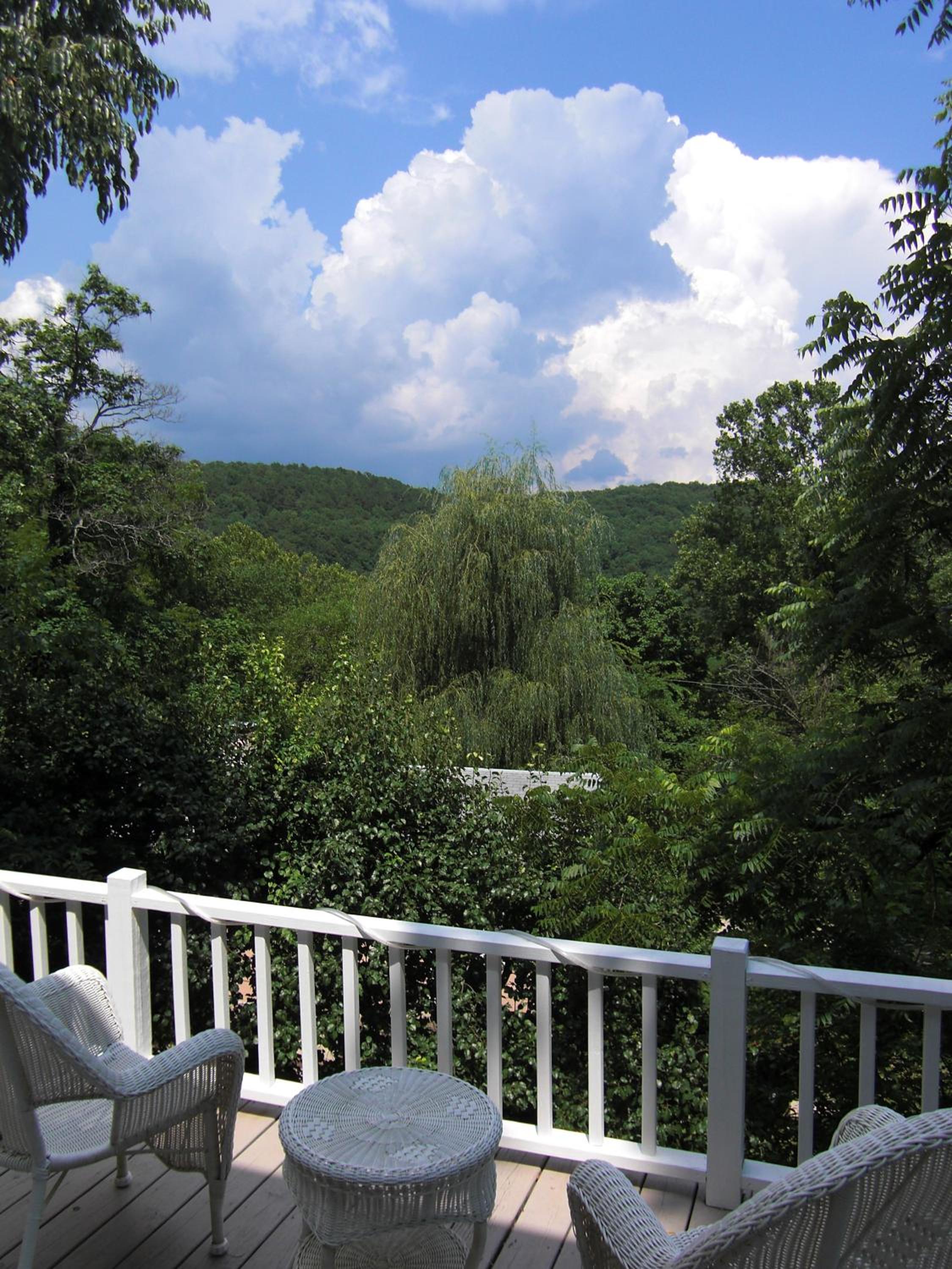 Photo 8