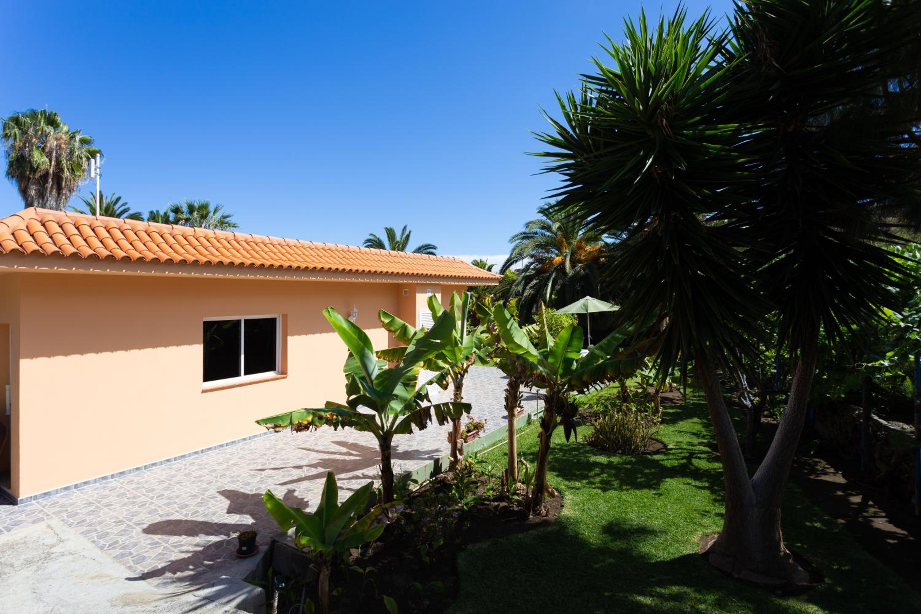 Finca La Gaviota - Los Limoneros view 3