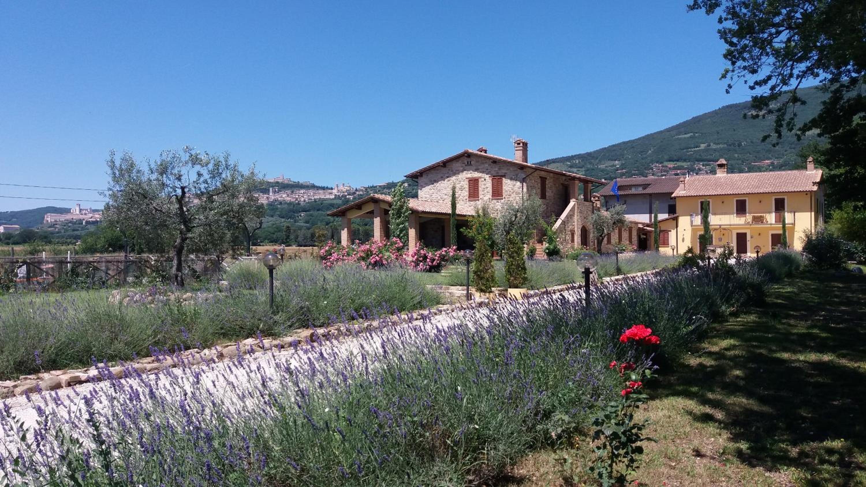 Sulla Strada di San Francesco photo 1