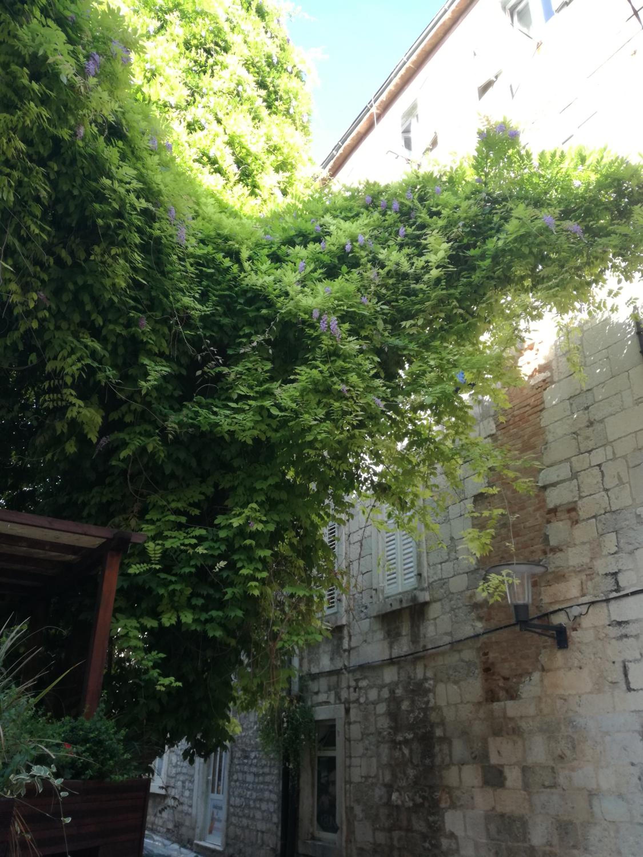 Apartment LEA MARIA view 4