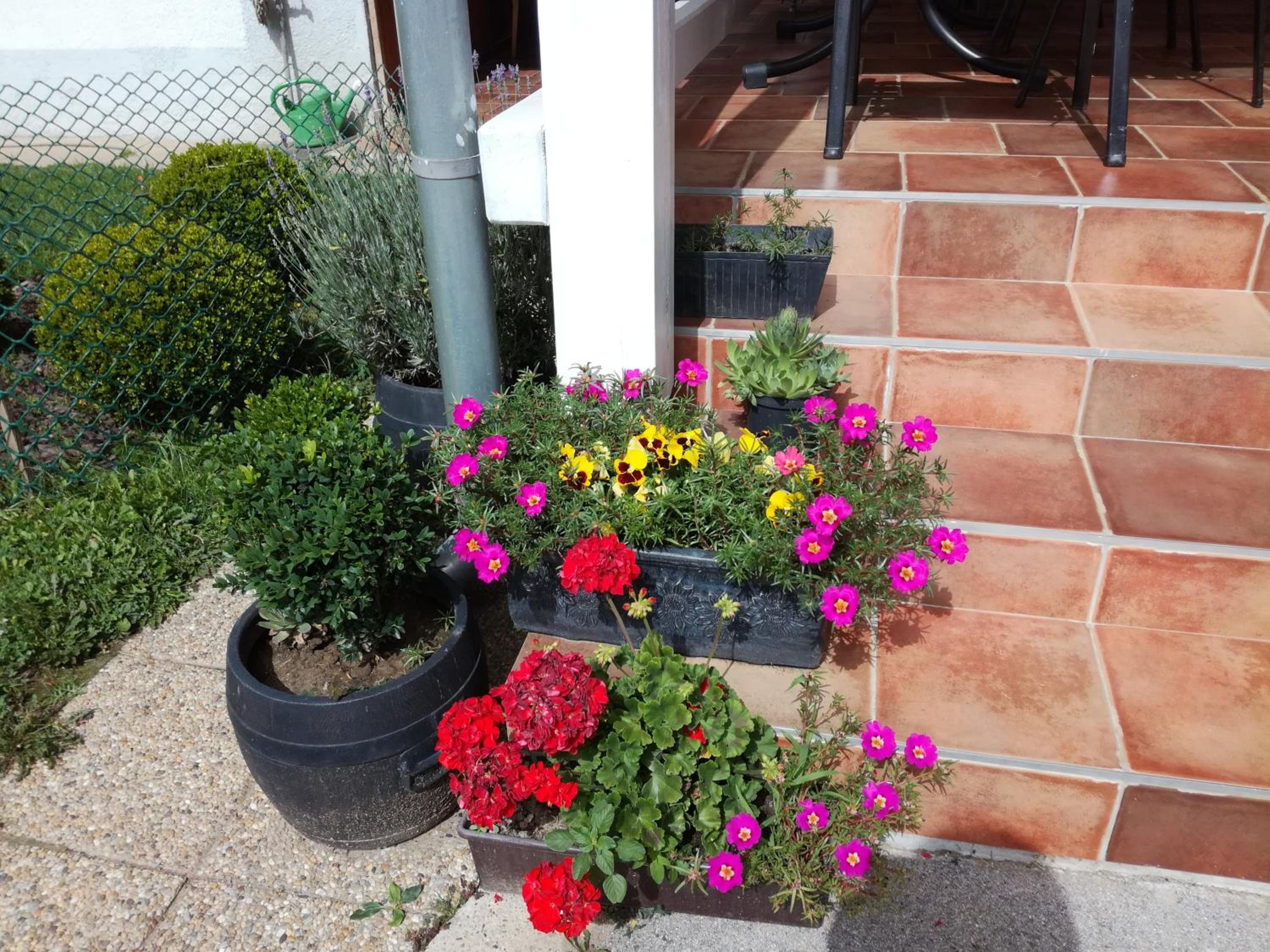 Photo 15