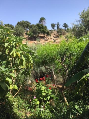 Photo 141