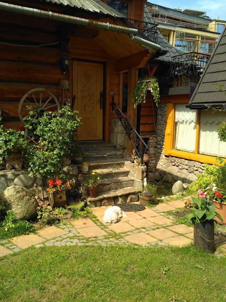 Photo 27