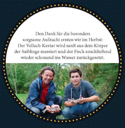 Ferienhaus Klopeinersee Kärnten