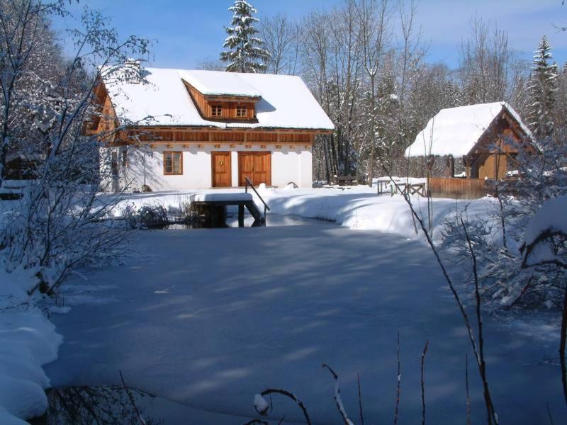 Ferienhaus Klopeinersee Kärnten