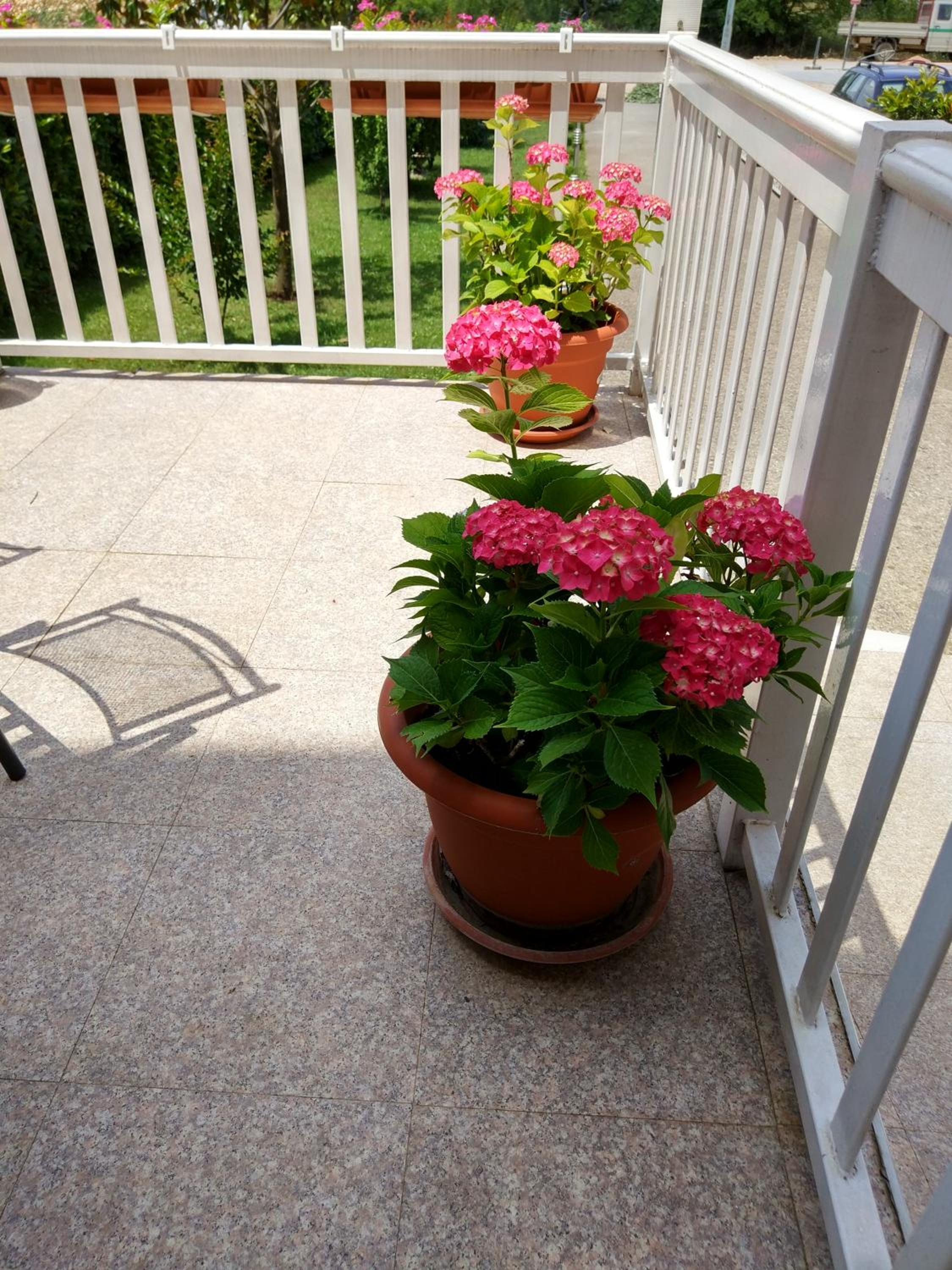 Guest House Regina Mundi