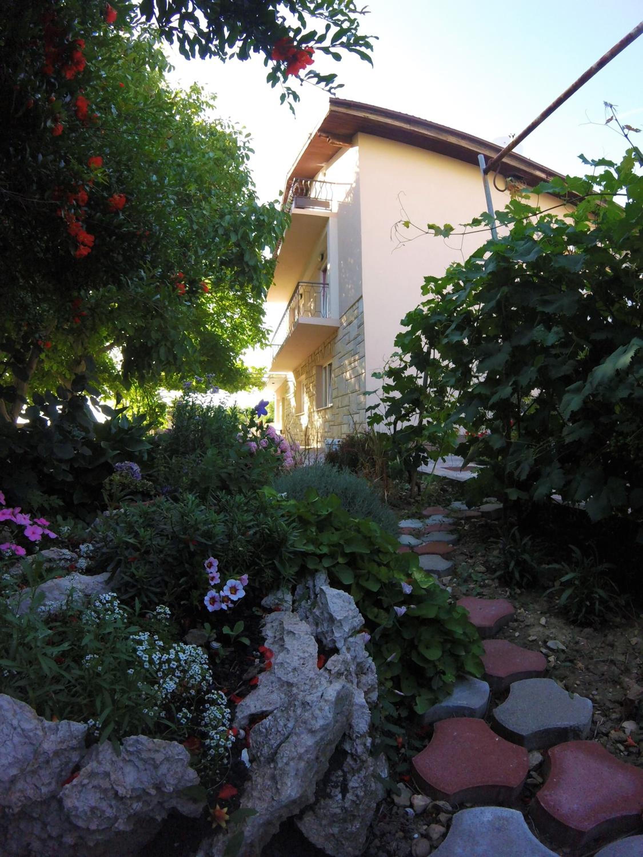 Apartments Olivera view 2