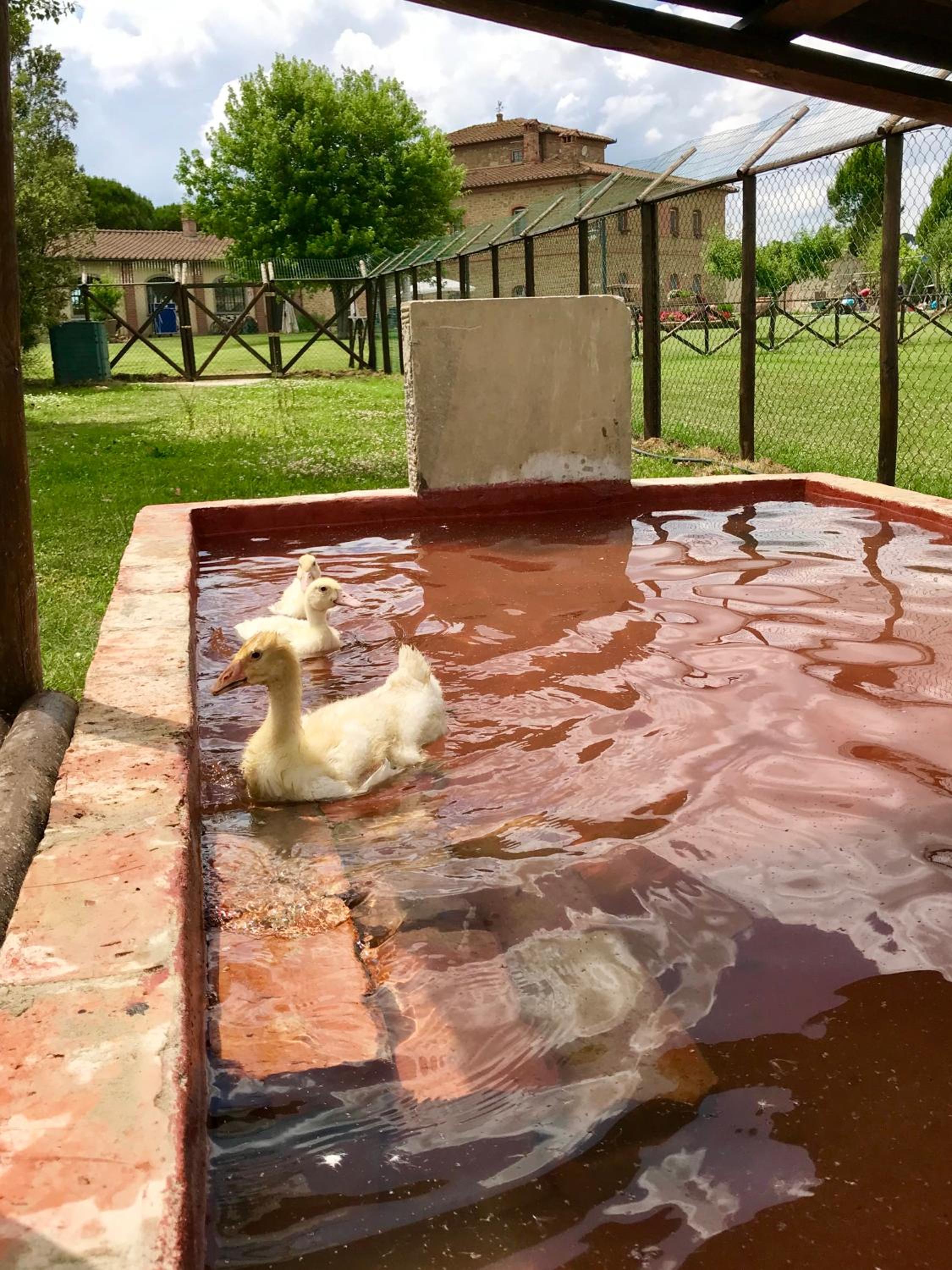 Agriturismo La Colmata