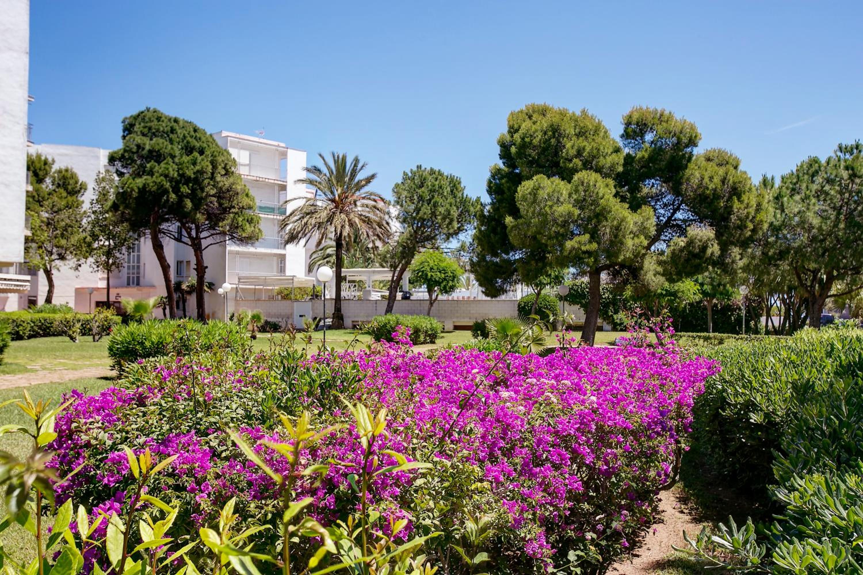 Apartamentos Ducal Center de playa gandia