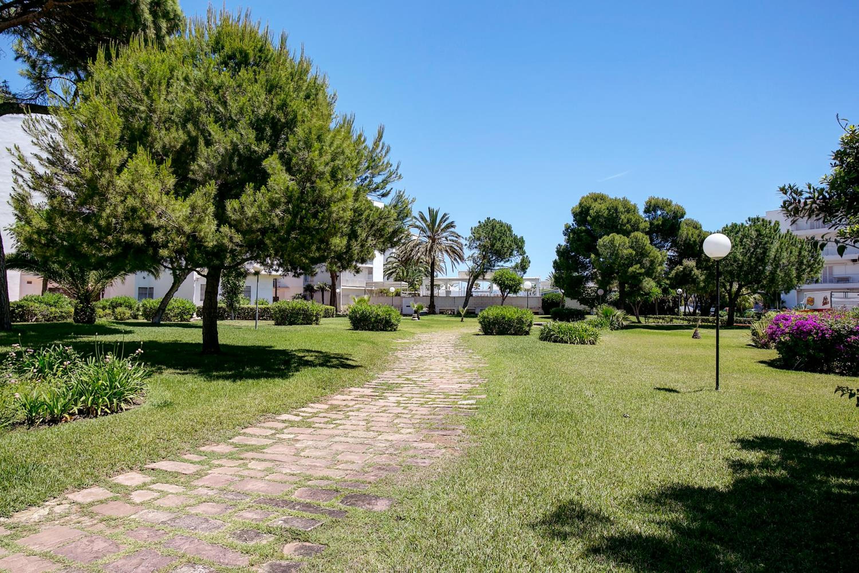 Apartamentos Ducal Center de playa gandia